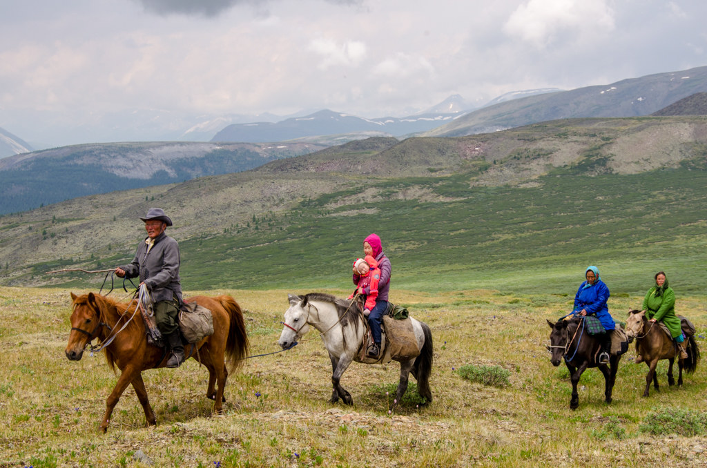 A horse in the taiga.