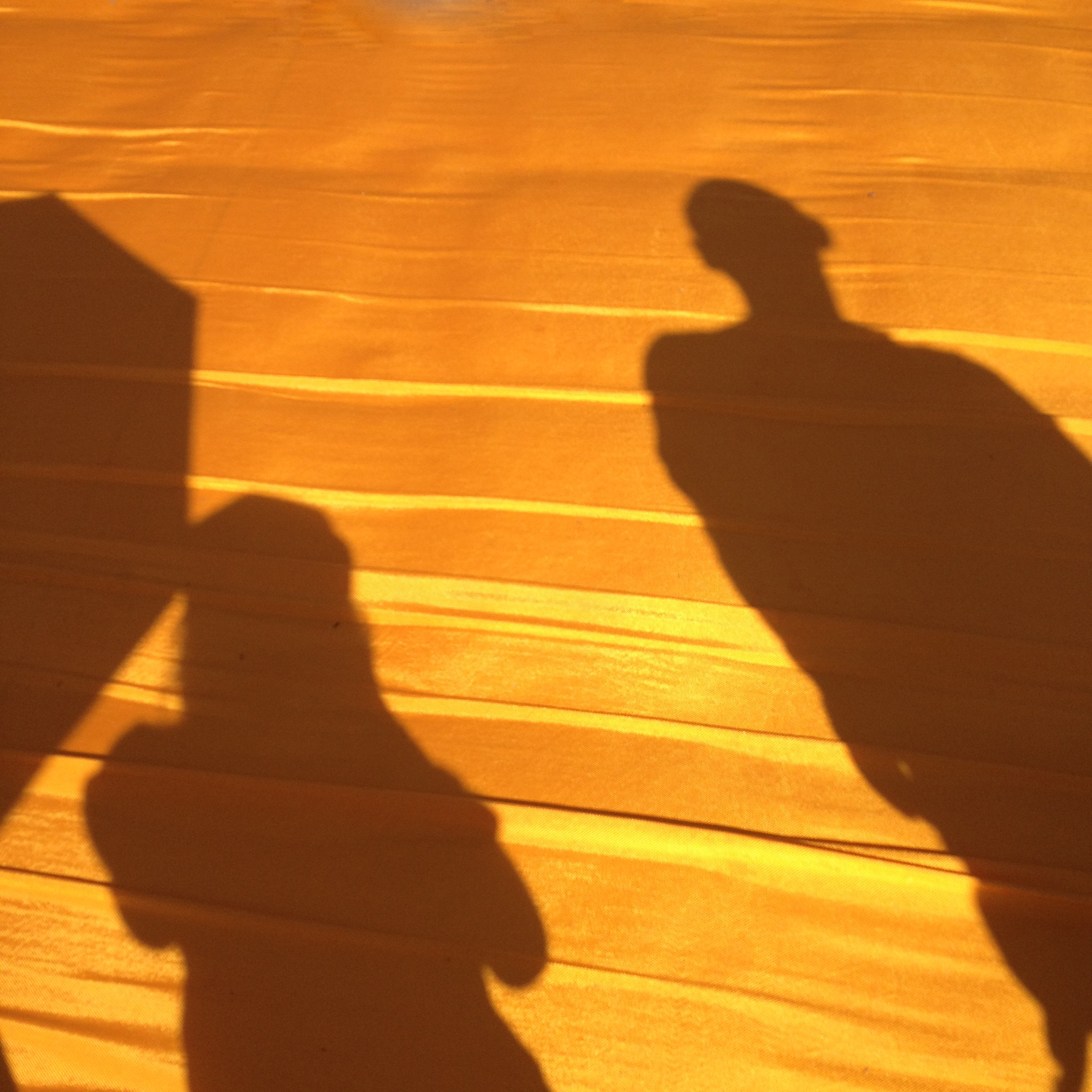 Sulzano 20-06-2016 - Ombre sulla passerella