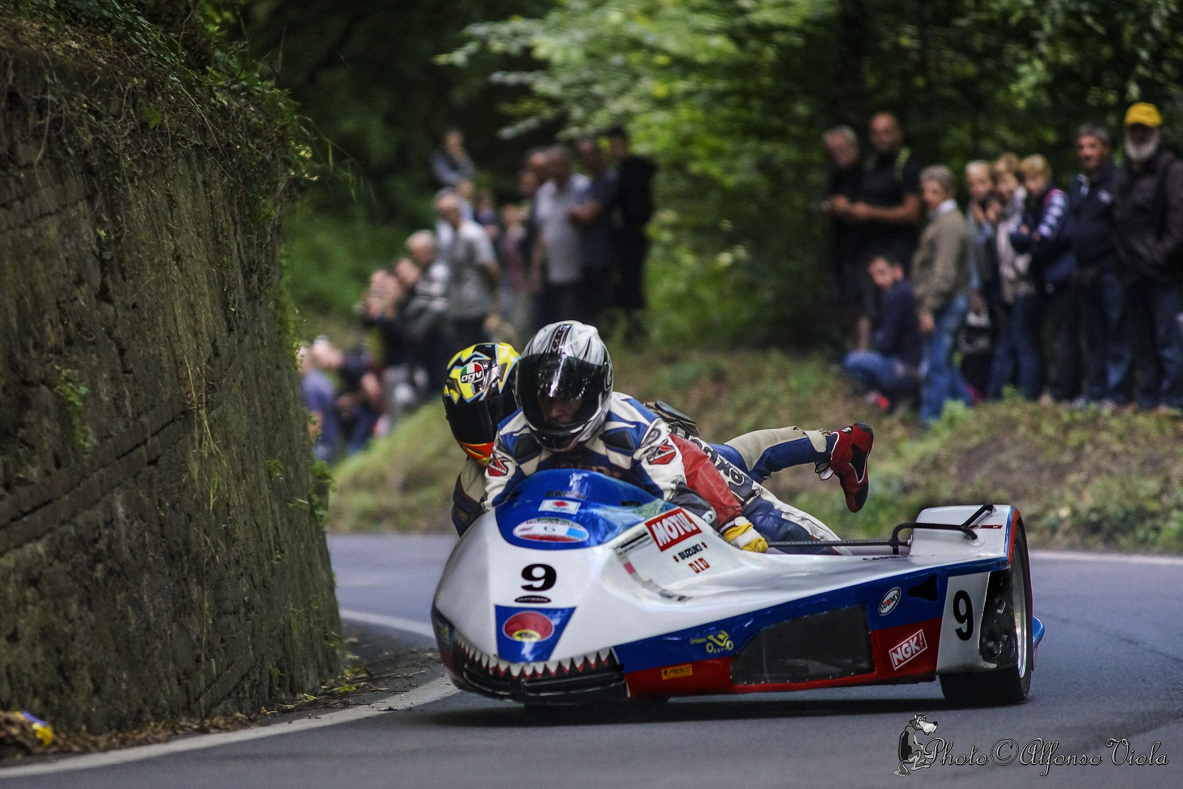 evocation chivasso / chestnut-bit 2