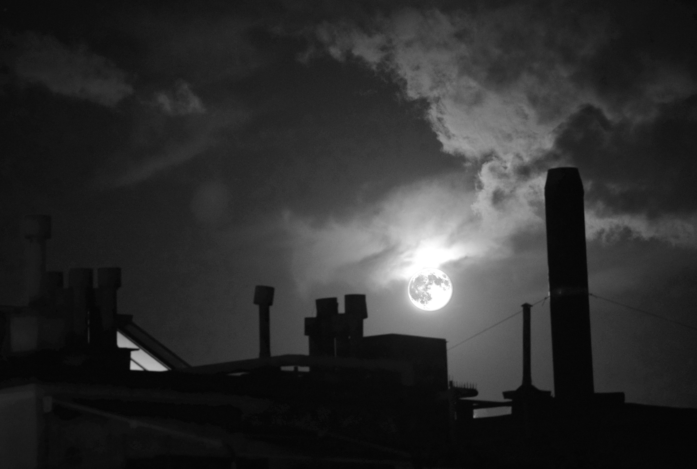 Roofs in the moonlight