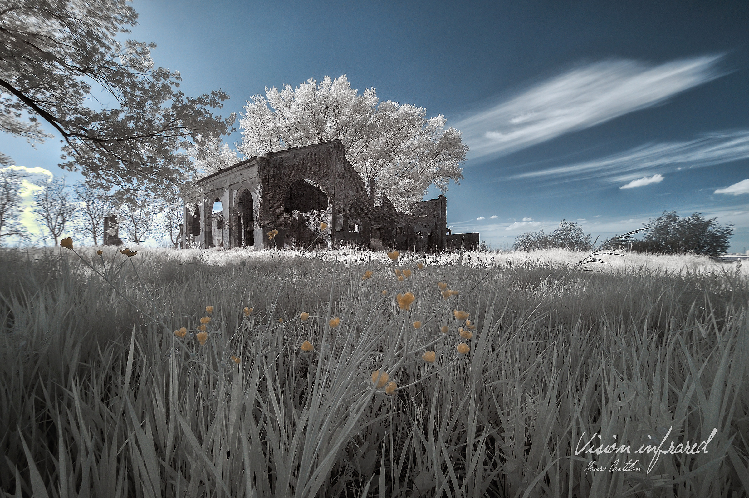 Pennellata di Colore