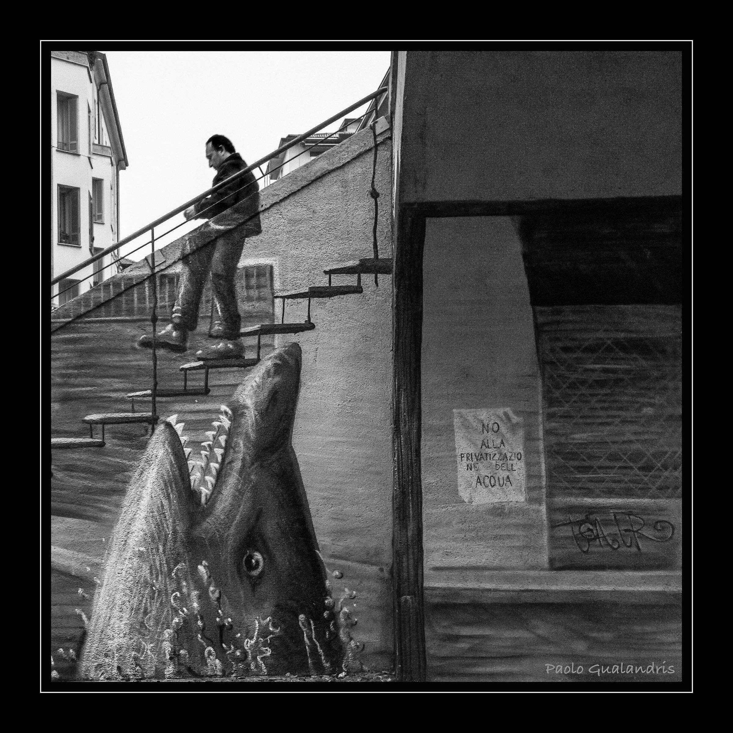 Pericolo Sul Naviglio