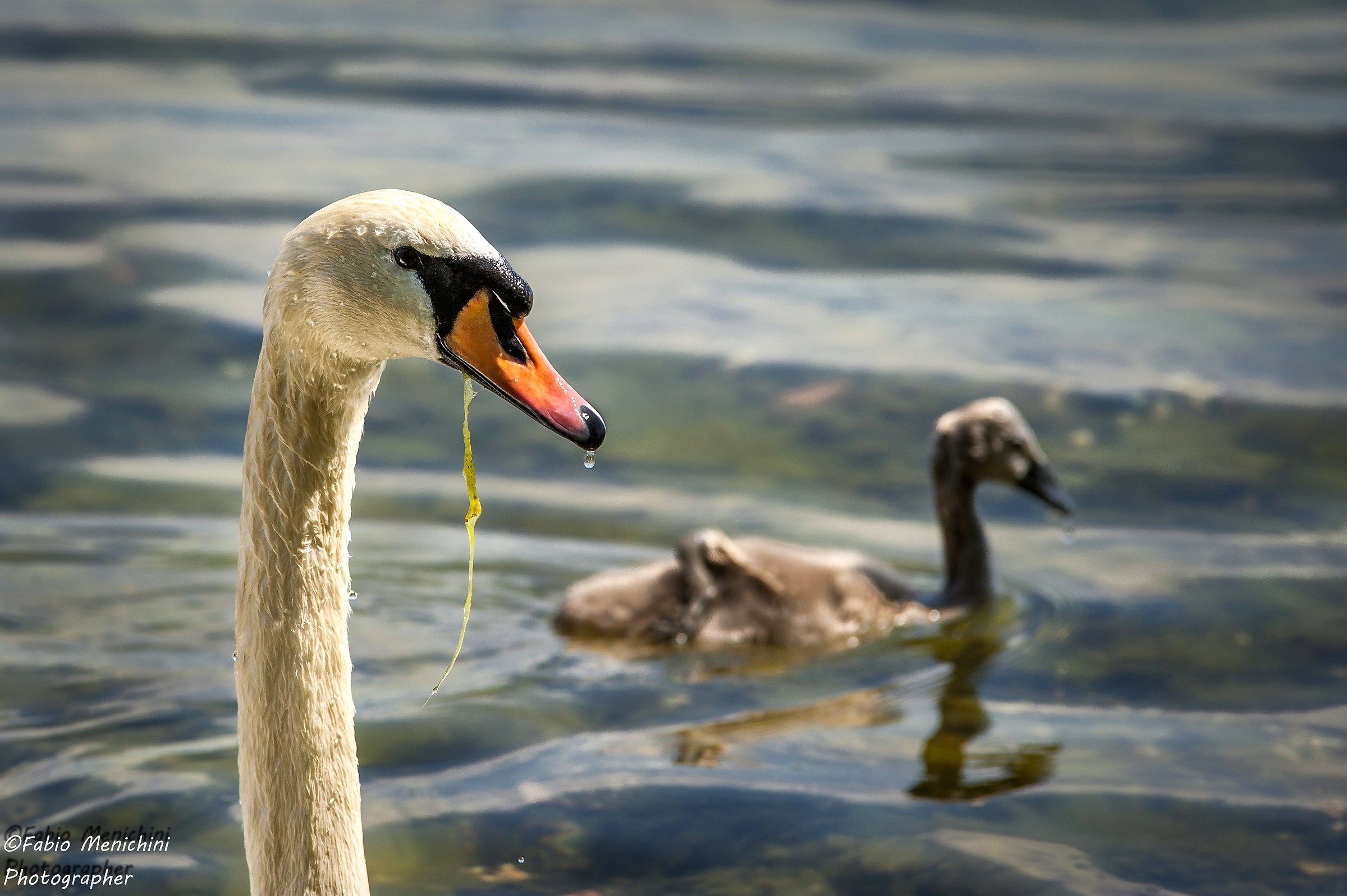 meetings to Lake Bracciano