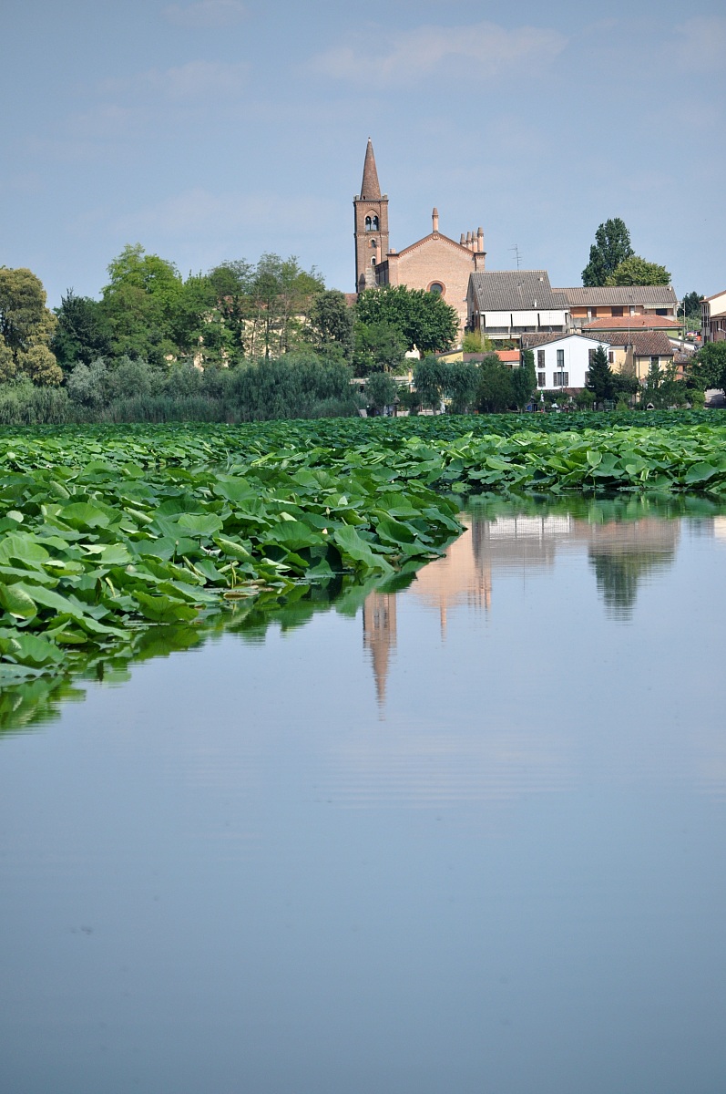 mantova..gli angeli