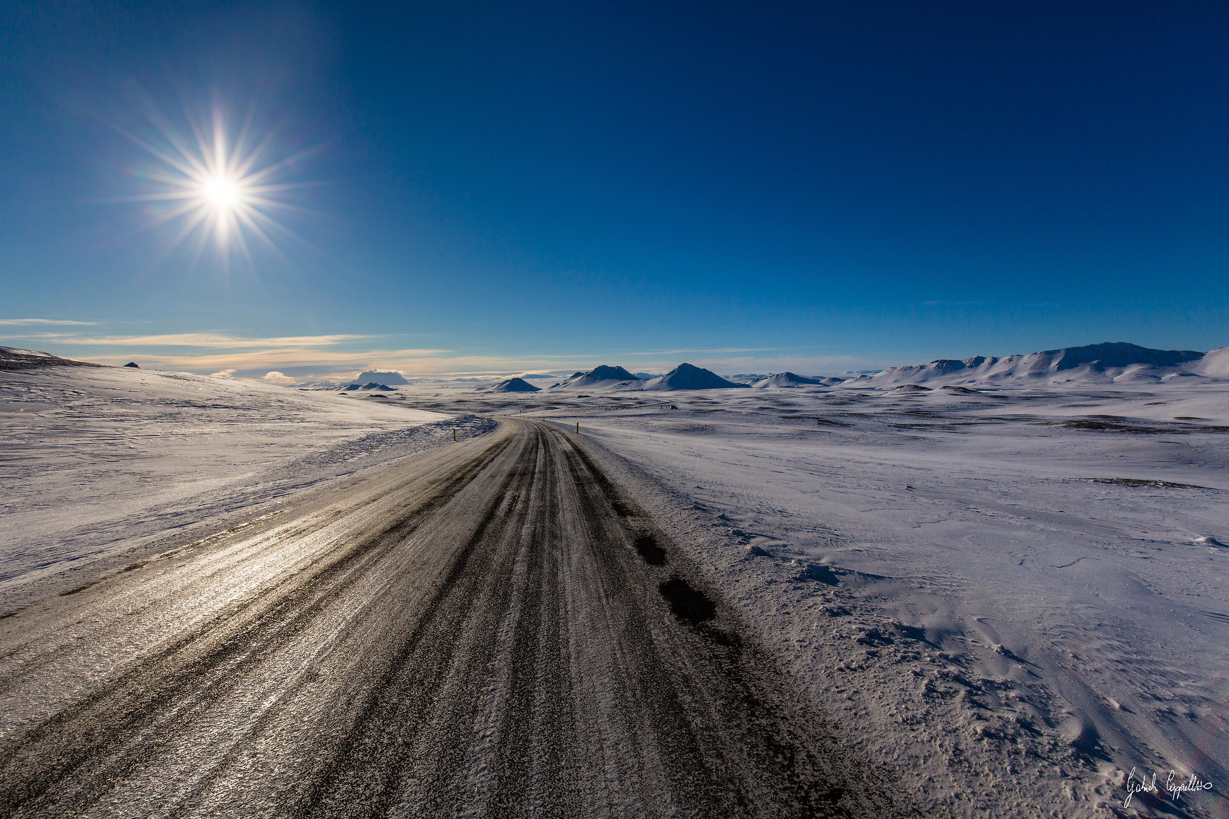 Guests of a wild land