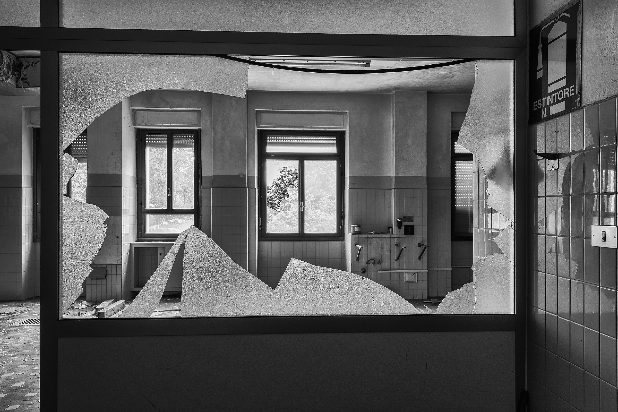 ..ex Institute Pavoniano ...