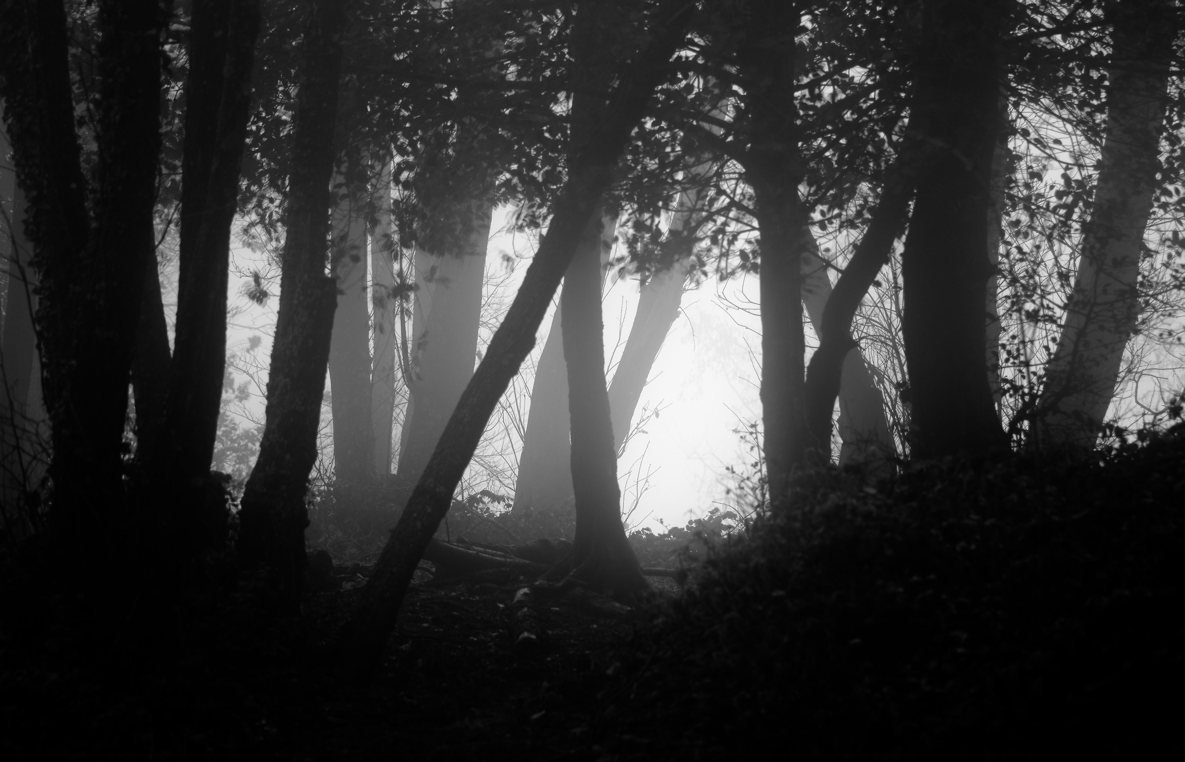 light at the end in the dark