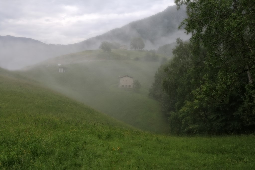 June 2016, rain and fog!