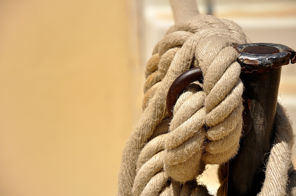 Legarsi... nonostante la diversità