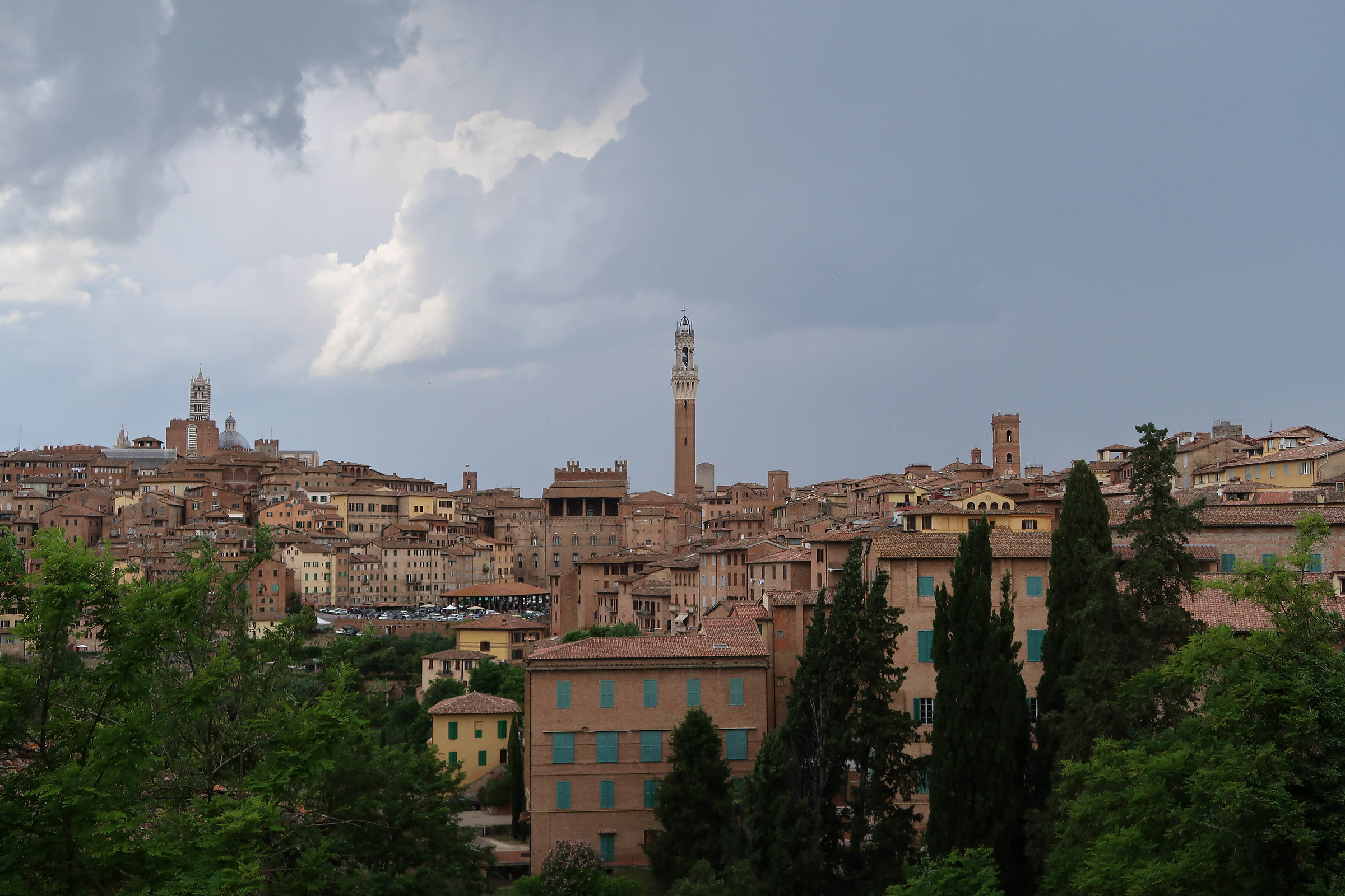Siena from the Contrada Montone