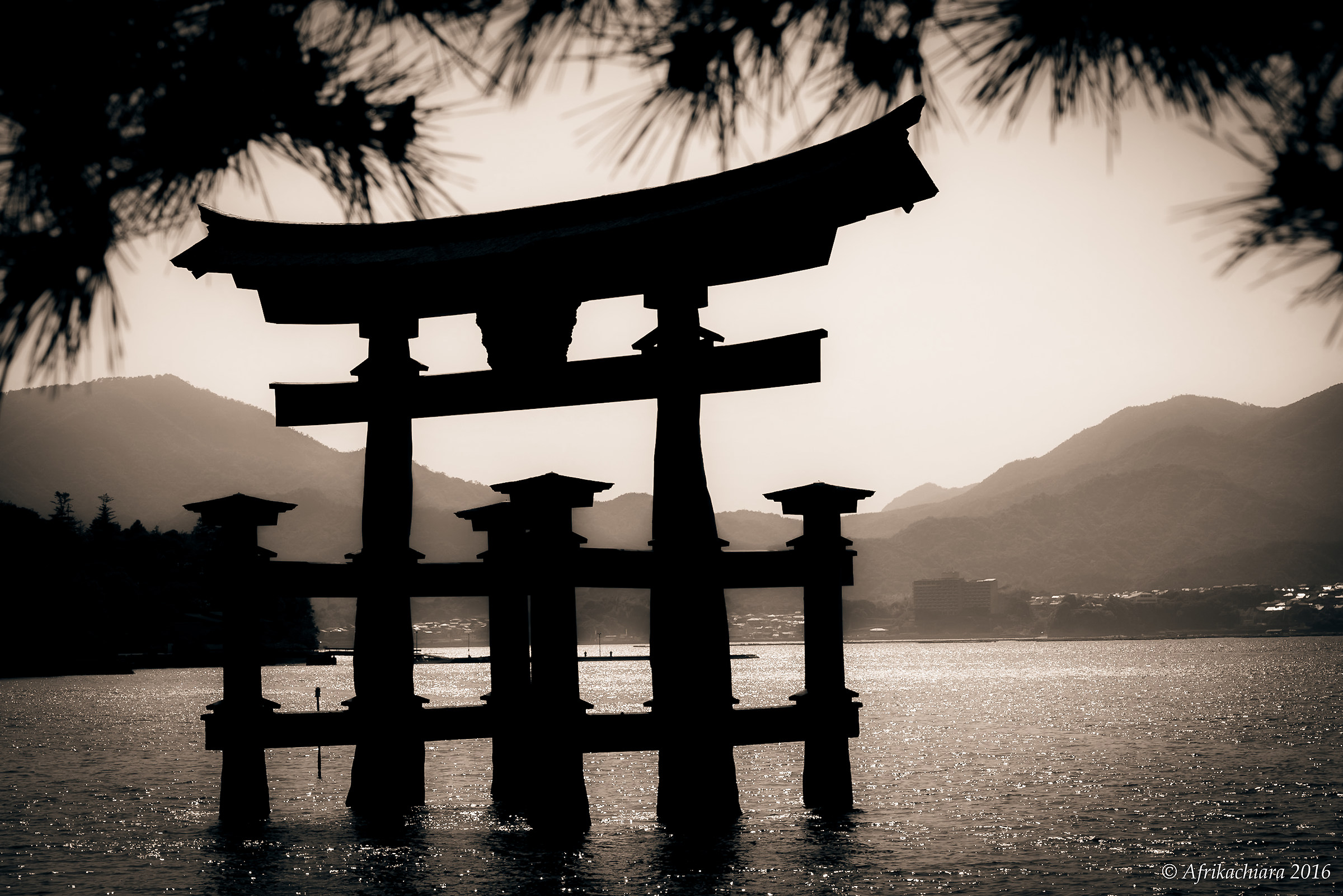 Portale galleggiante (O-Torii) a Miyajima
