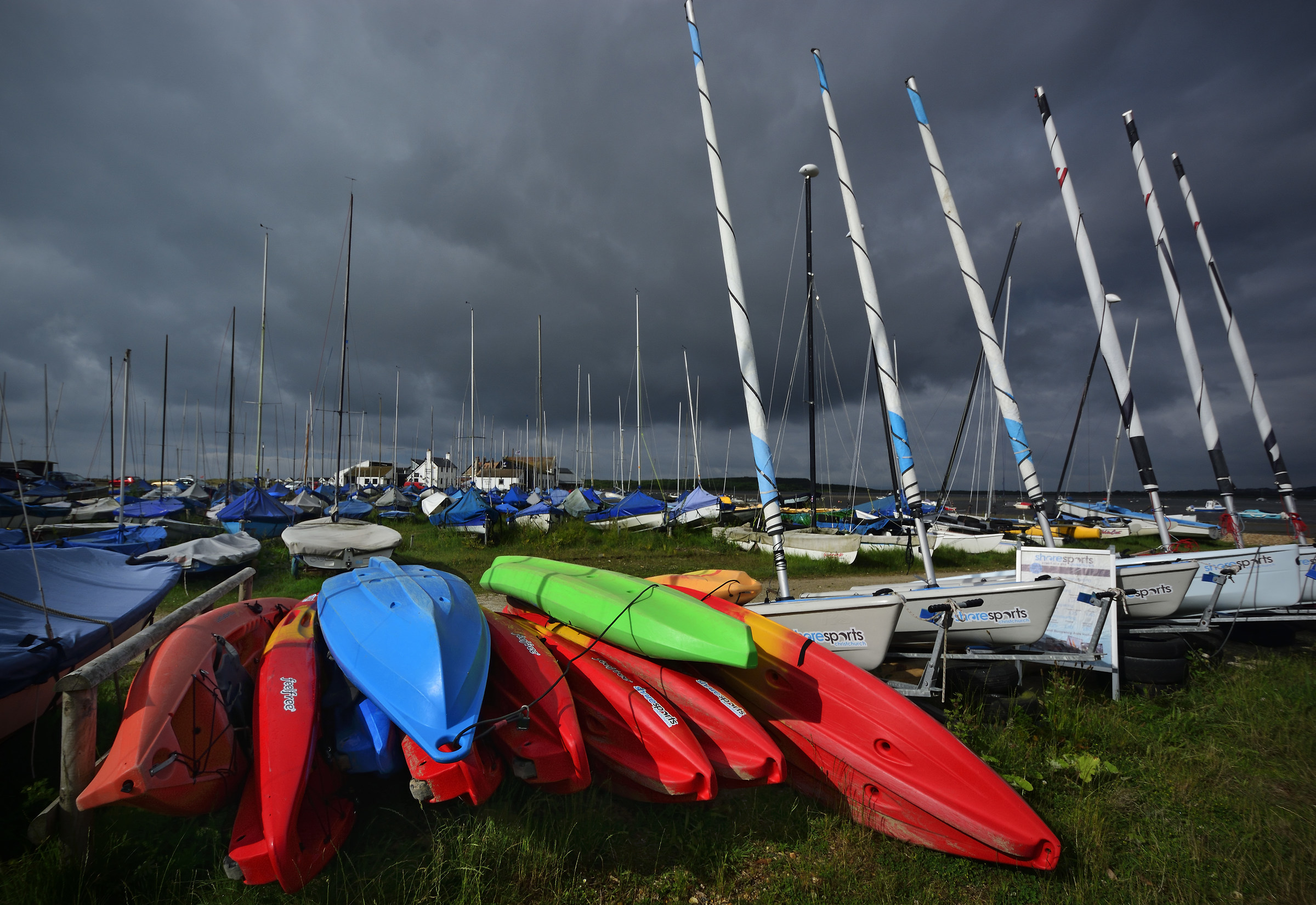 Gli alberi di Mudeford!