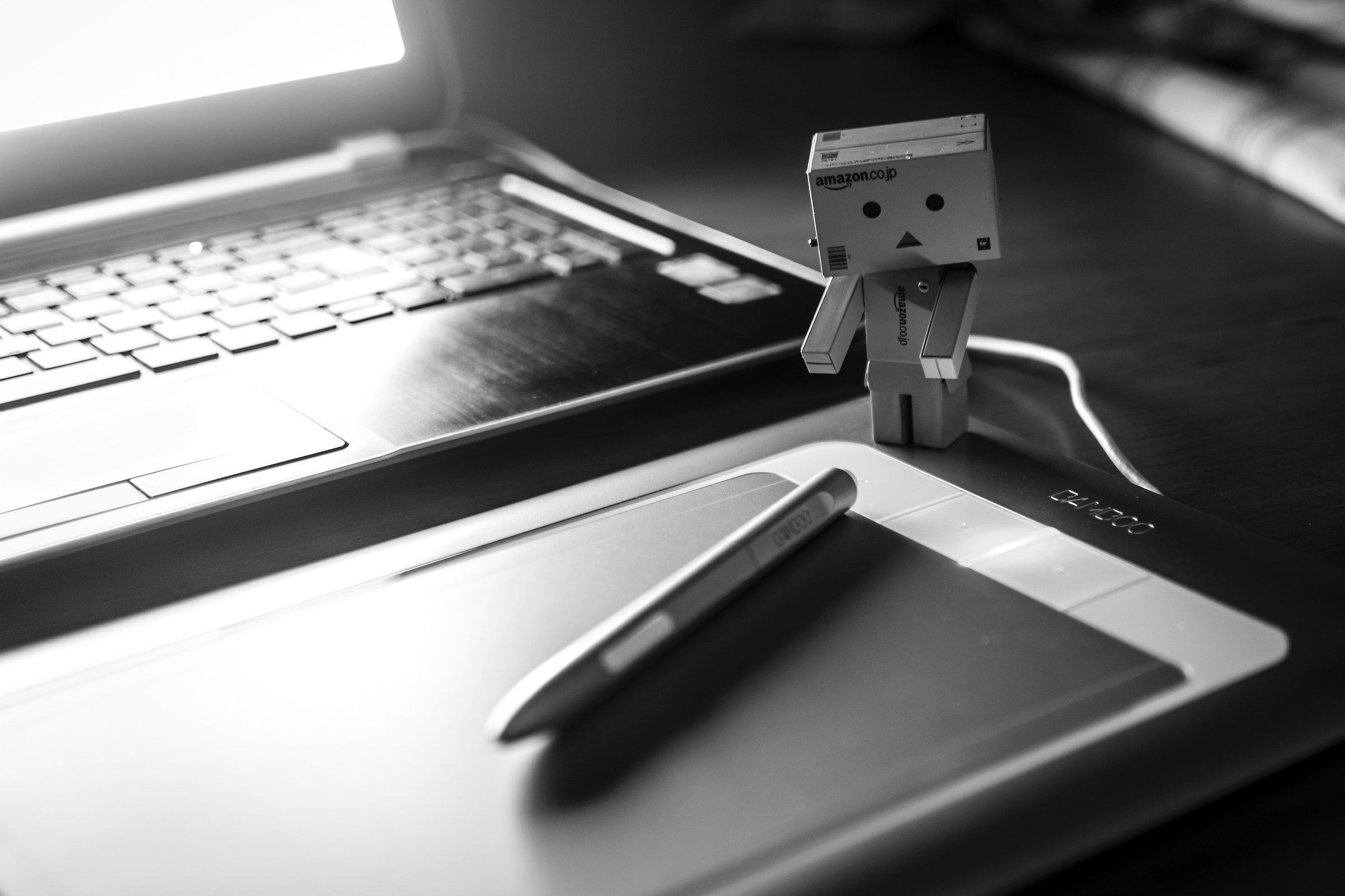 Danboard the look aide!