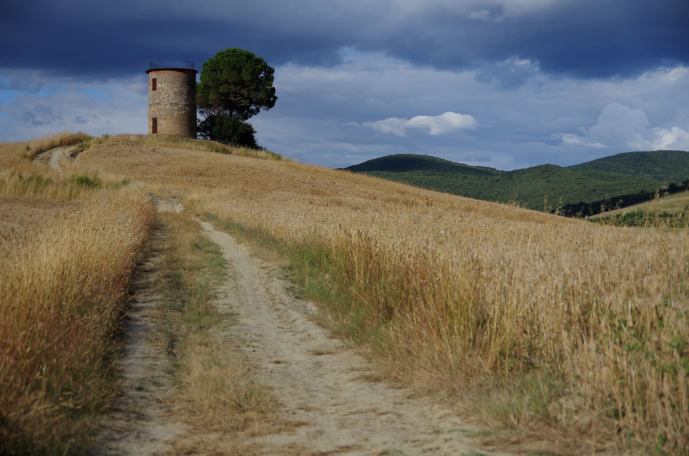 The road to the barn