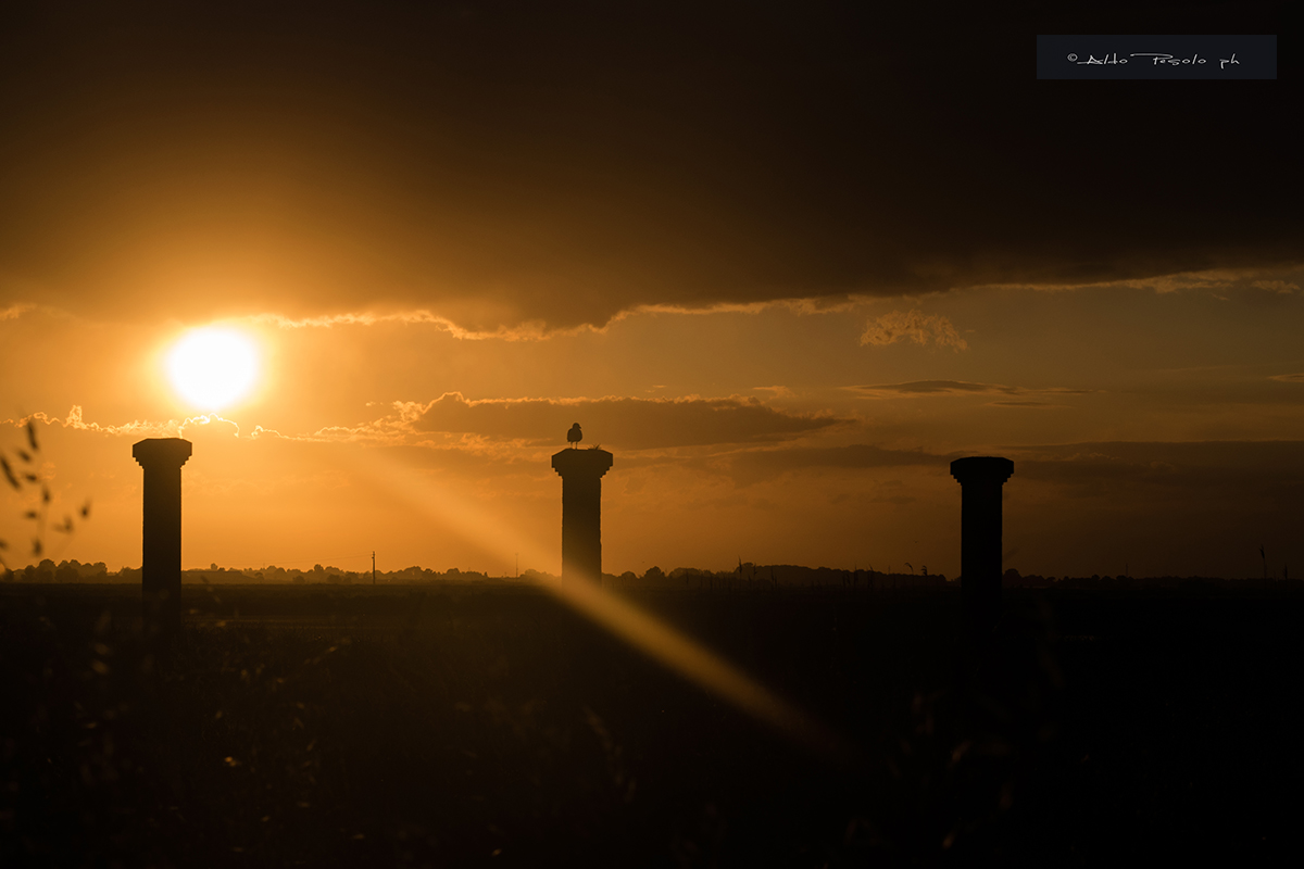 ... Pierced by a ray of sunshine: and it is now evening.