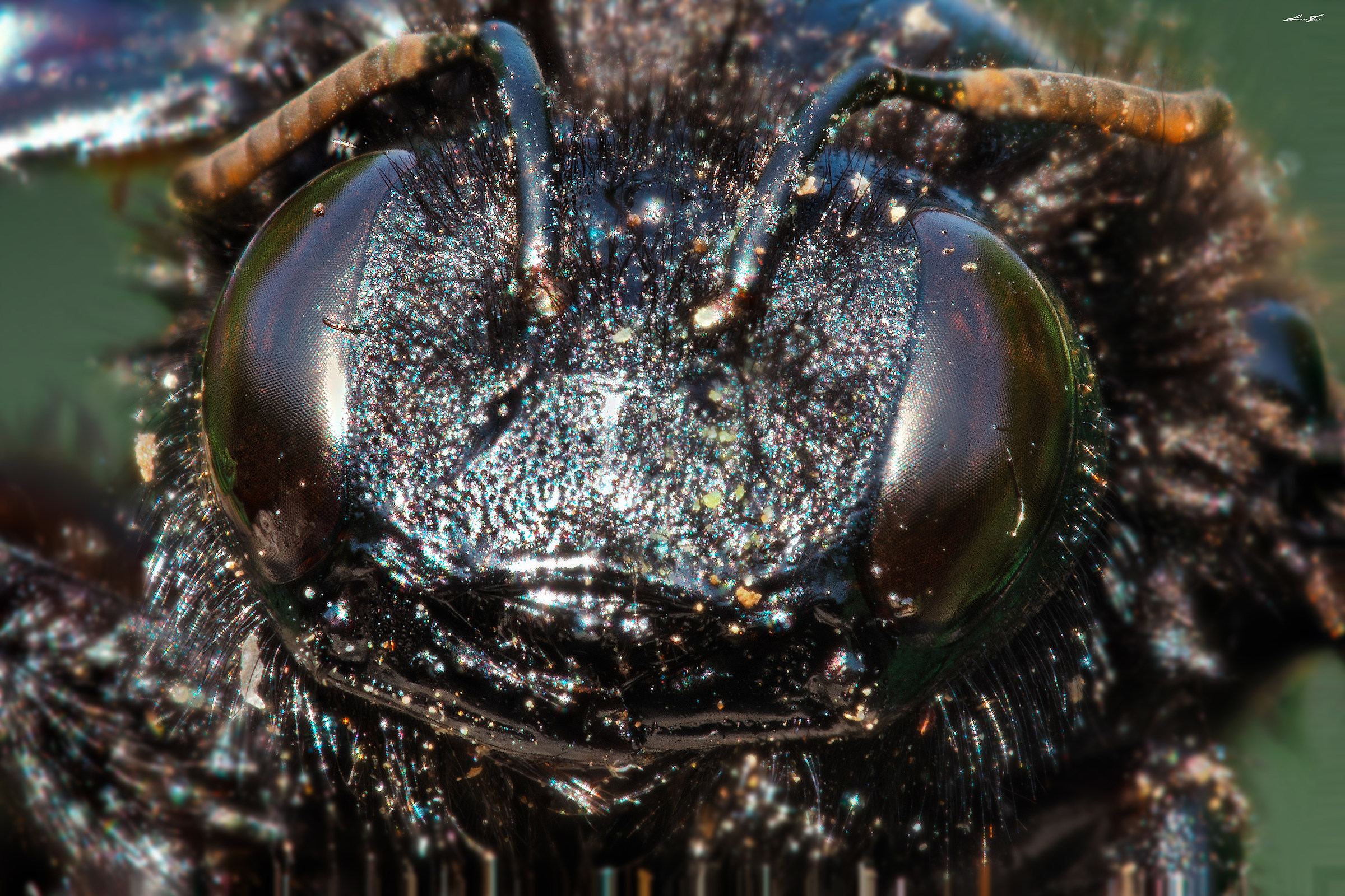 ... The metallizzato..lo will have paid € 500 more?