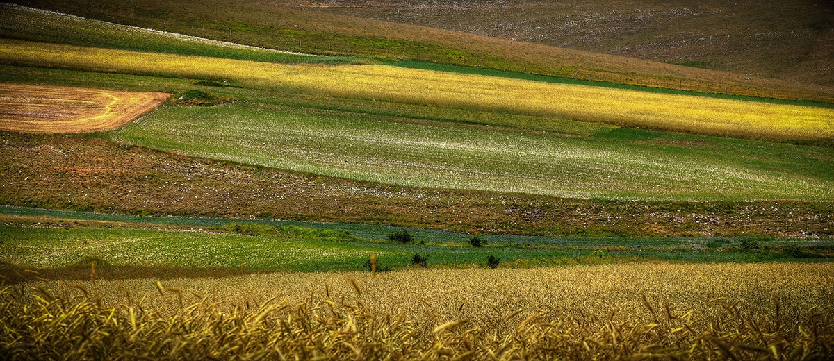 castelluccio