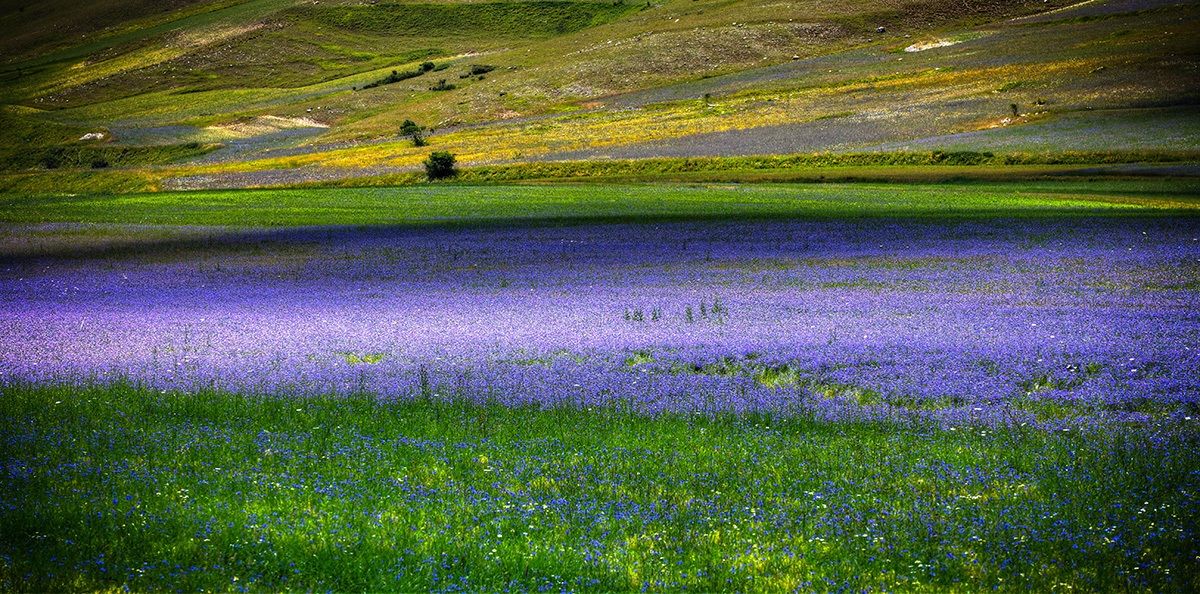 castelluccio