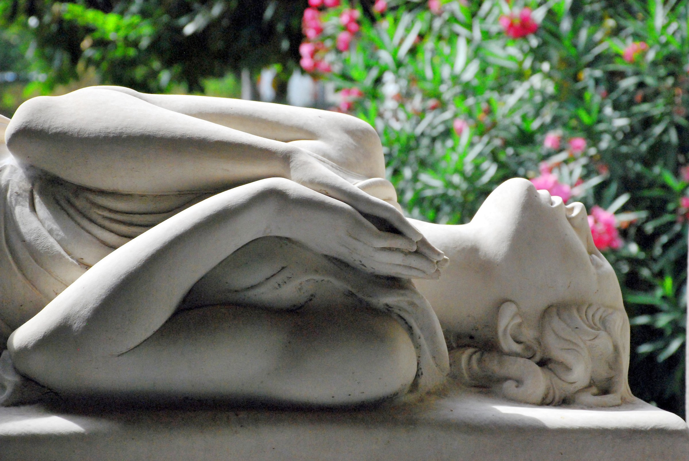 Tomba Salvetti (E.De Albertis 1939)