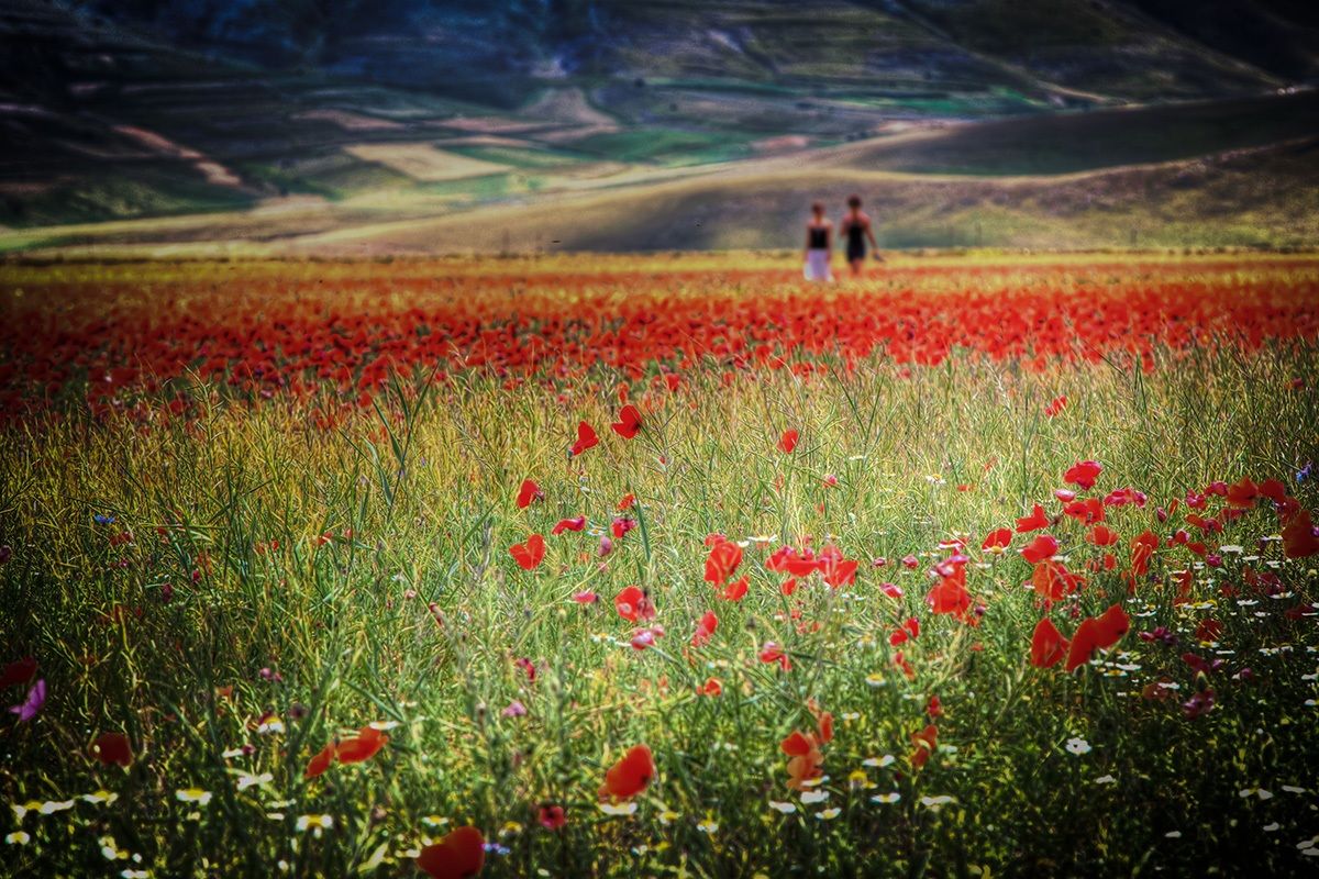castelluccio