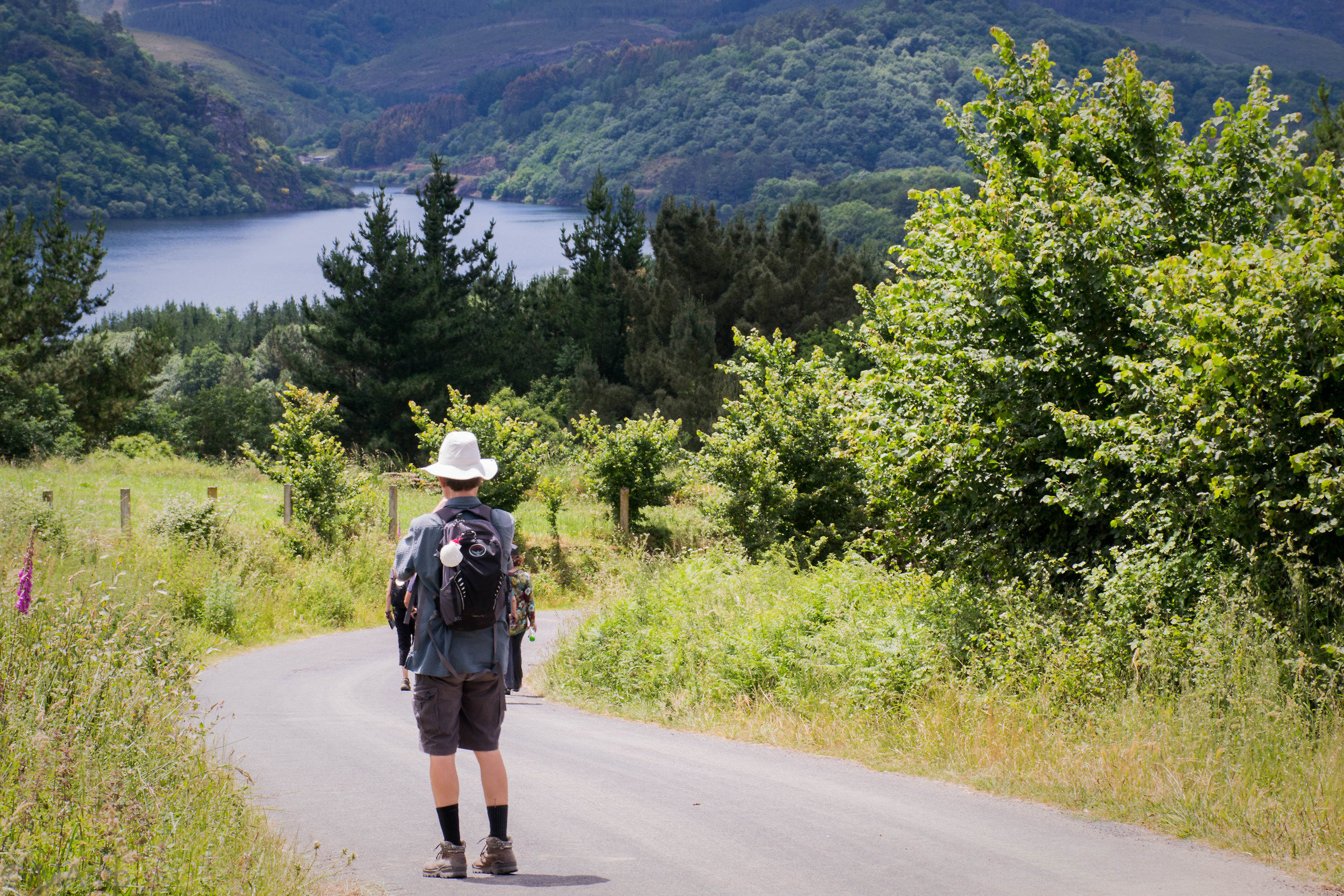 Pellegino in cammino