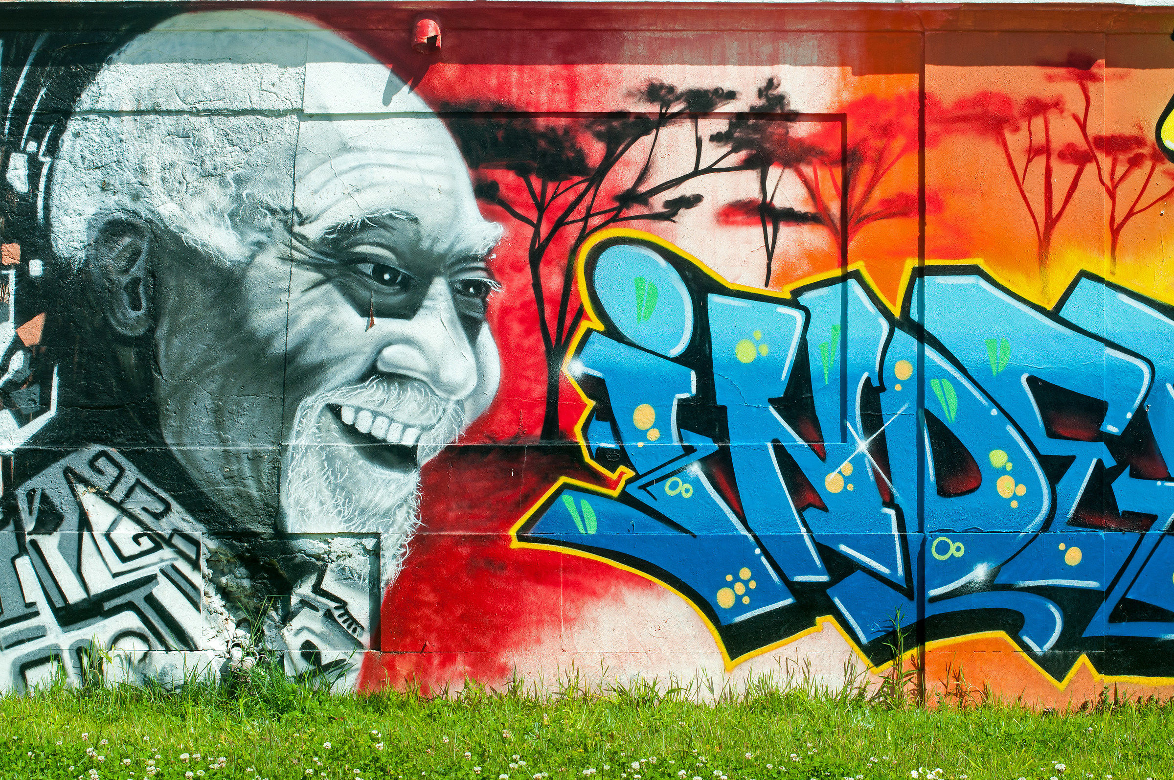 Street Art.  Autore: Nomen