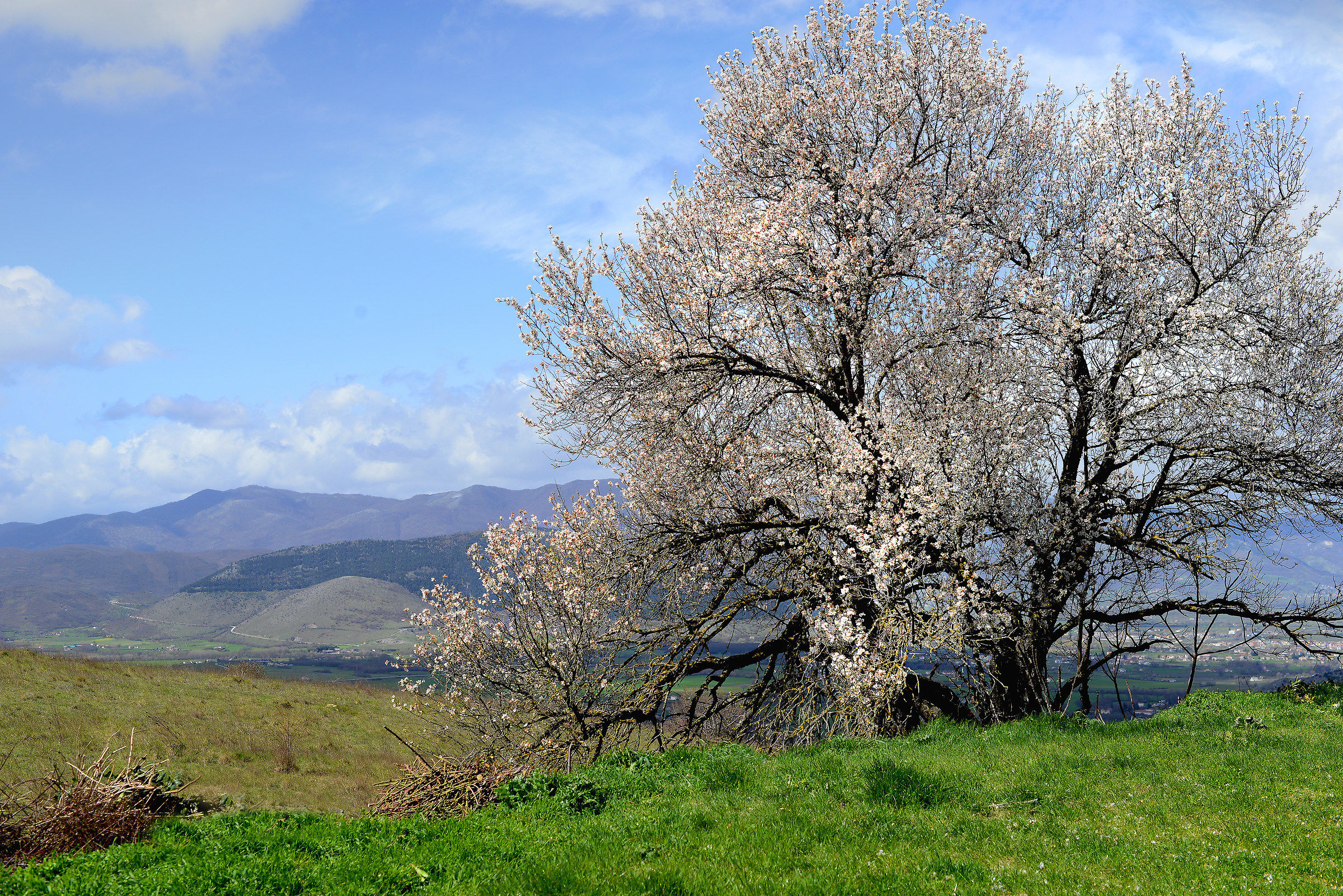 Ultimo giorno di Inverno