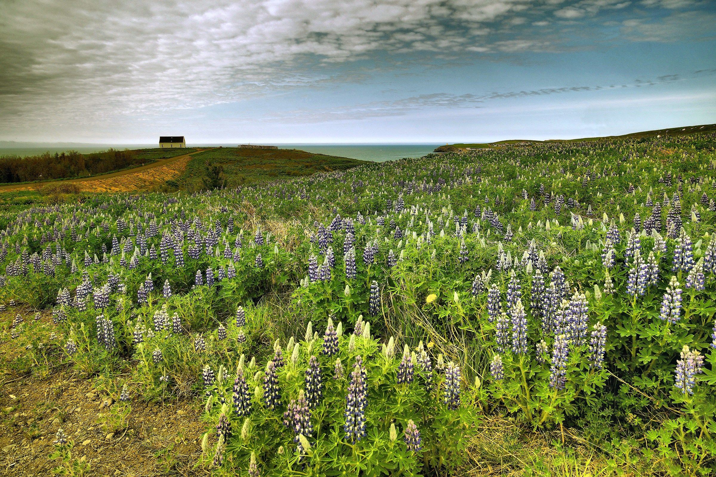 Landscape of Iceland.