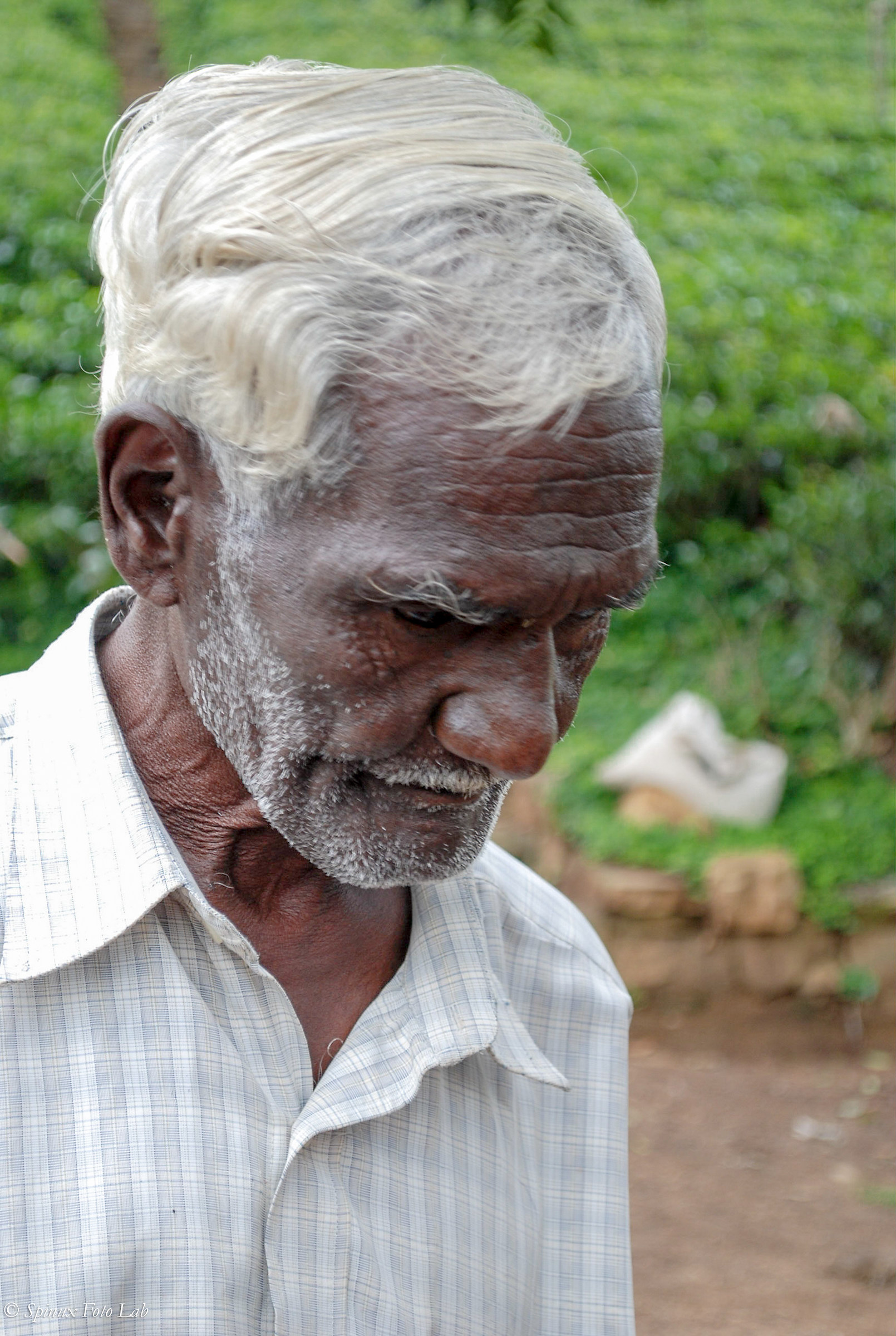 I pensieri della vita