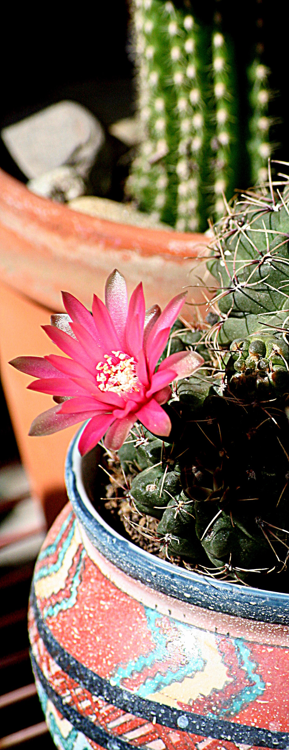 perfection in nature