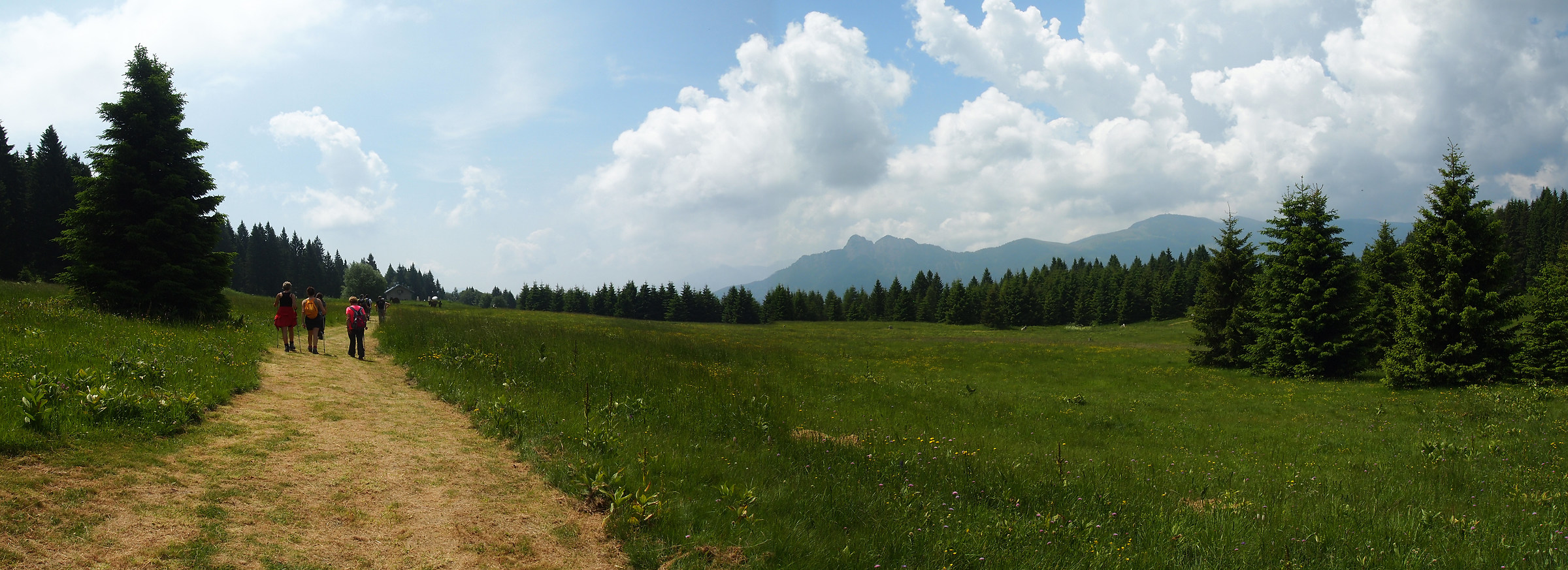 Malga Campo surroundings, Luserna
