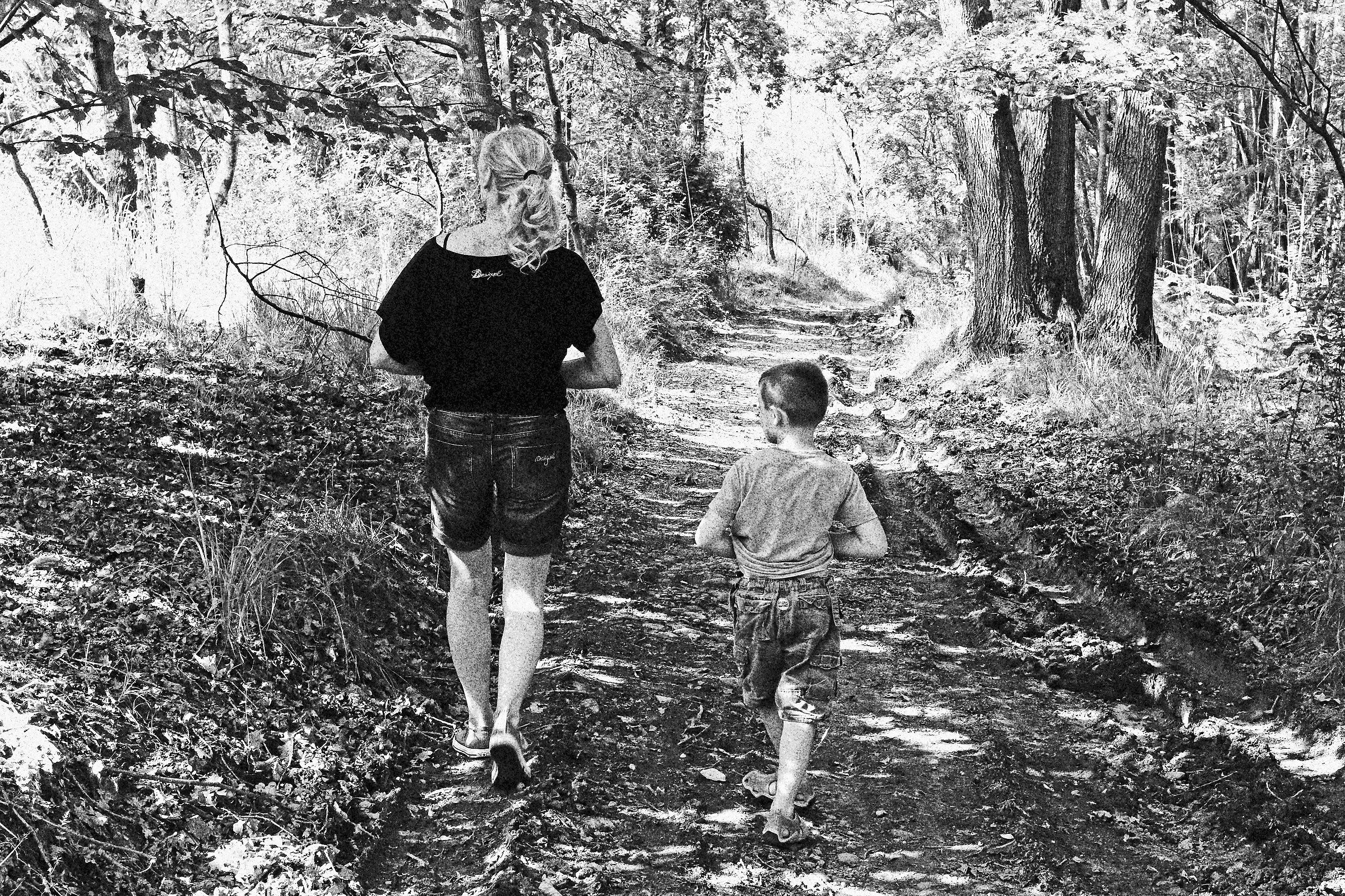 passeggiata nel bosco
