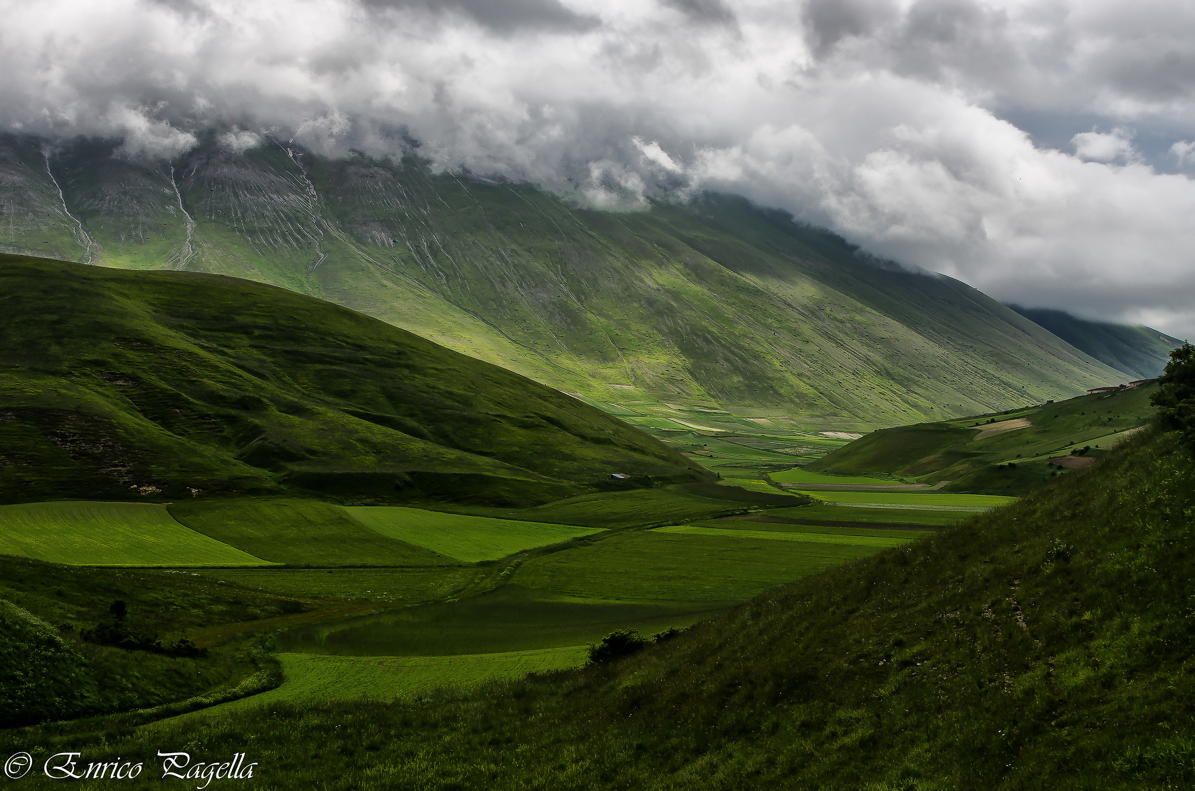 green after the storm