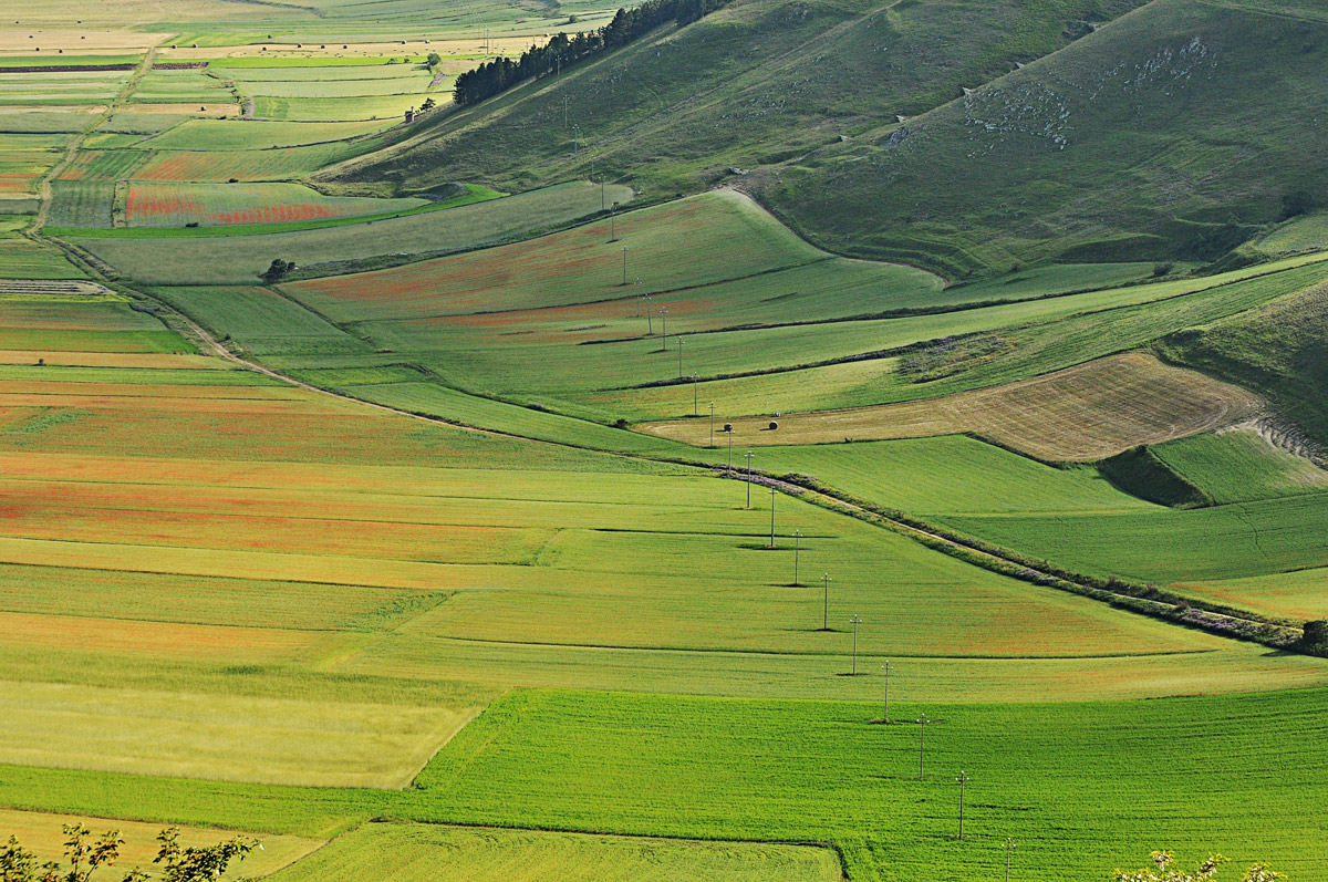 Strada di Castelluccio