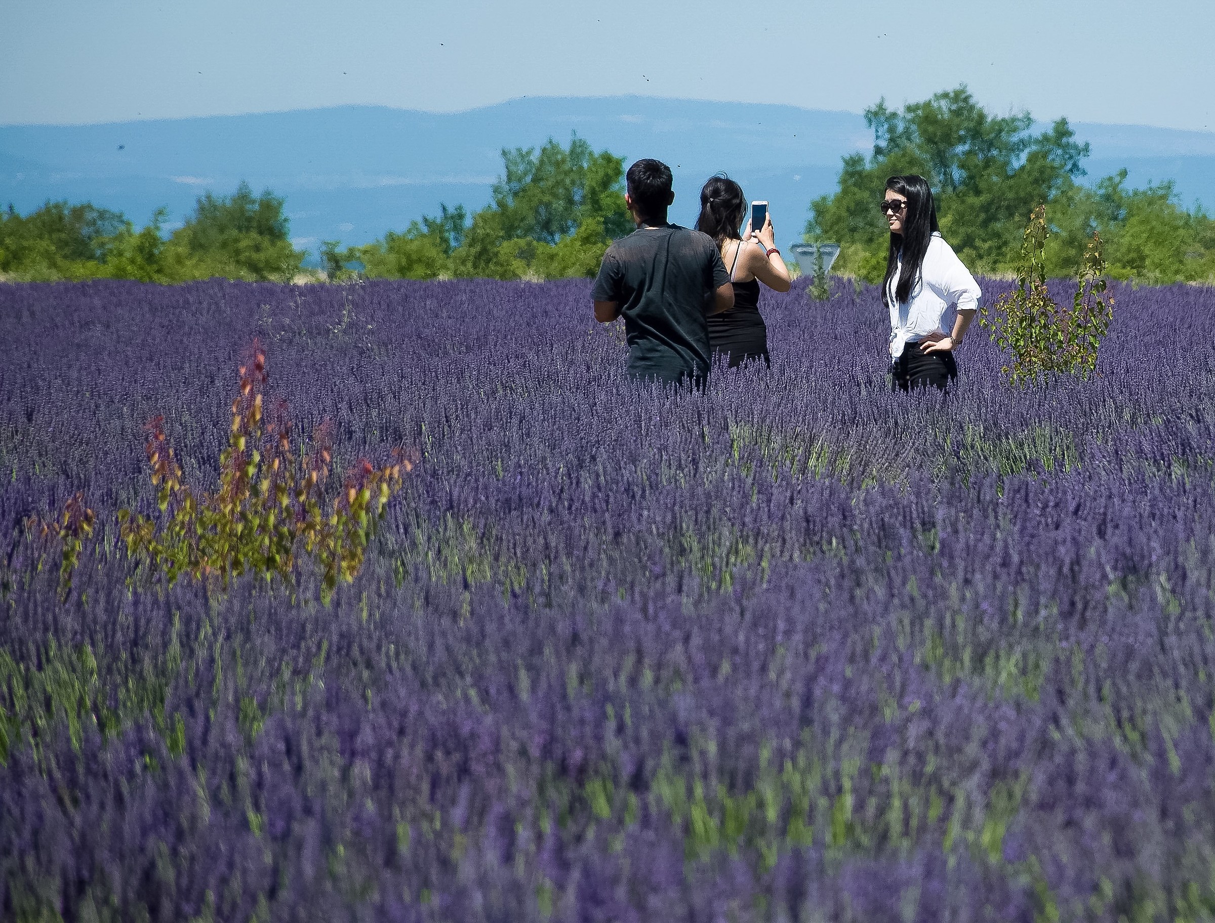 Pure japs ??with the (inevitable)