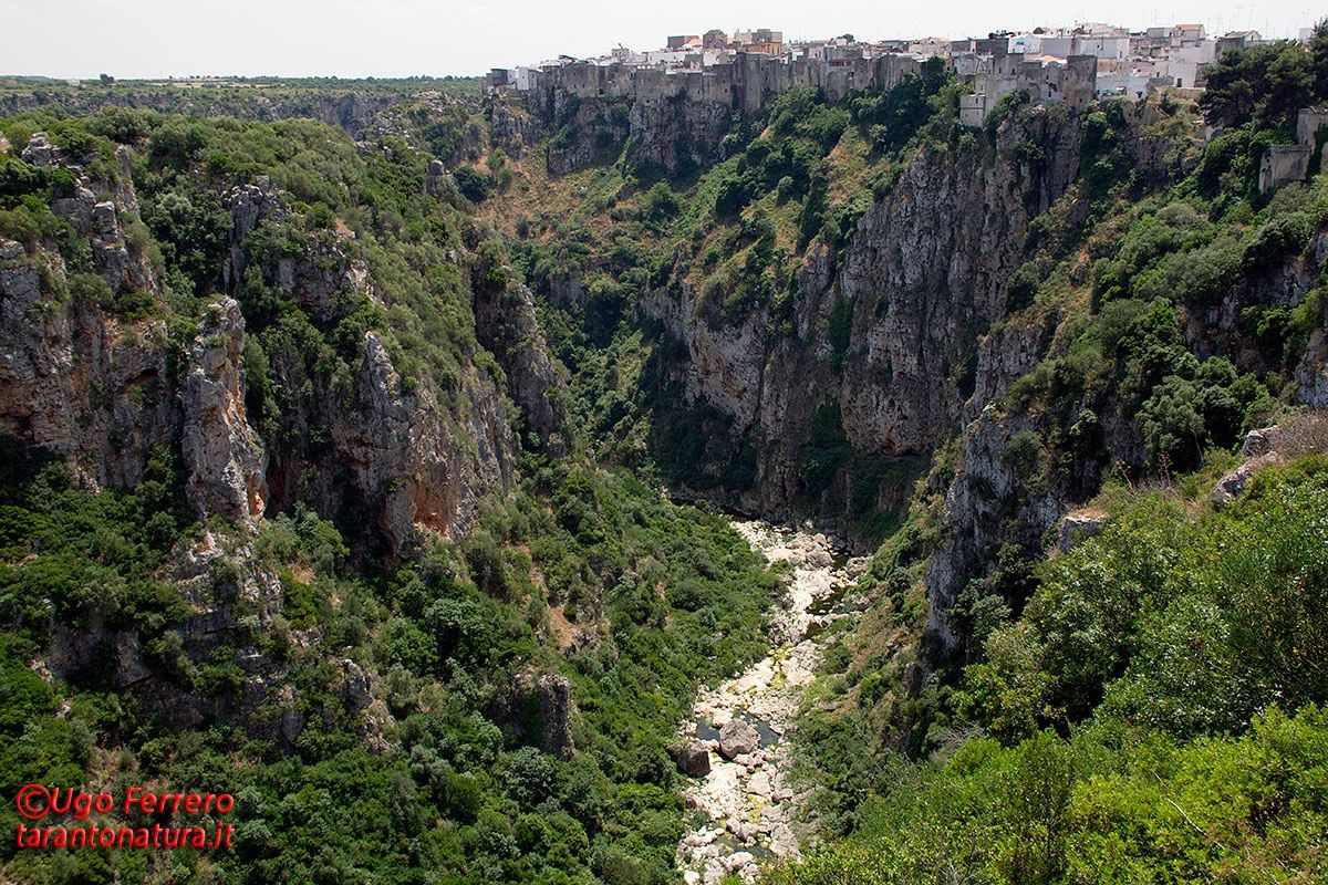 Castellaneta and his old ravine