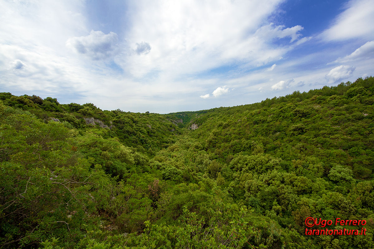 Gravina Varco, Laterza