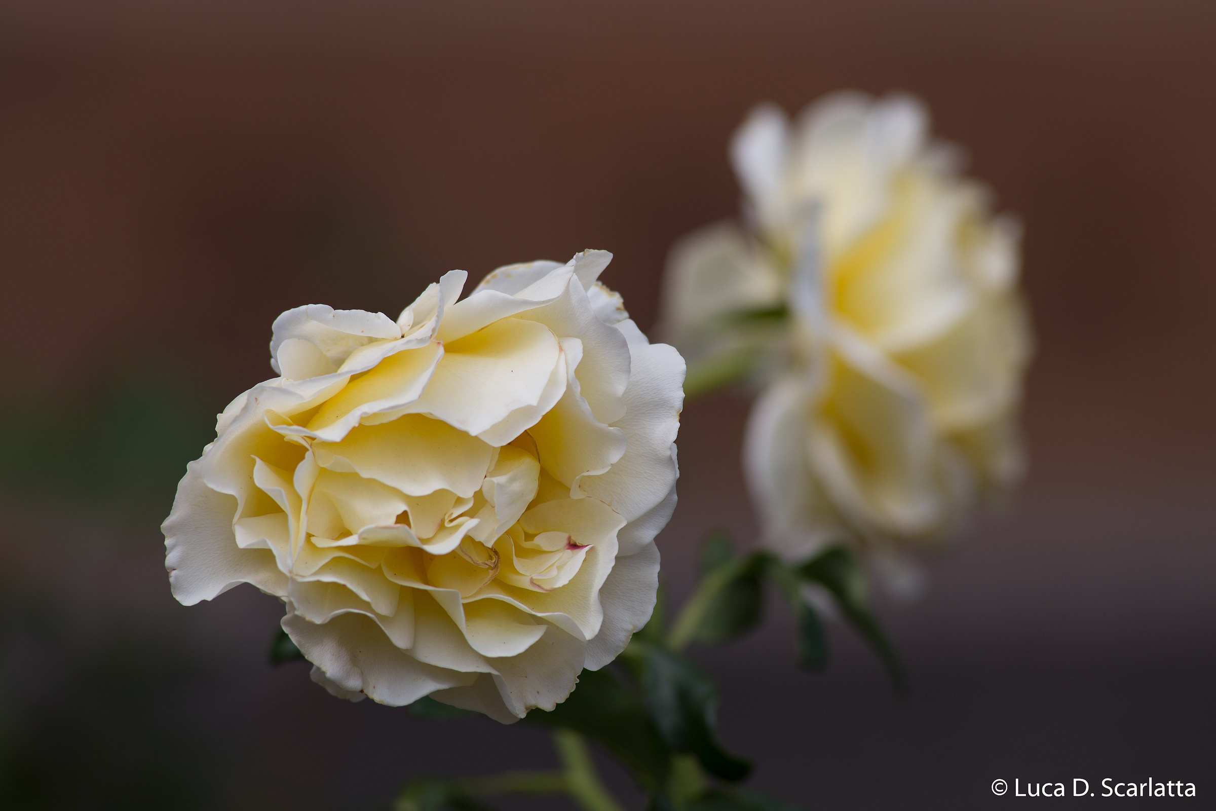 Test blurred tamrn 300 / 2.8 to F 7.1!