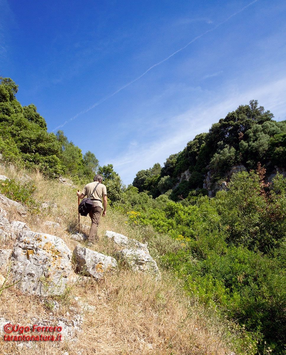 Hike in the Gravina di Castellaneta