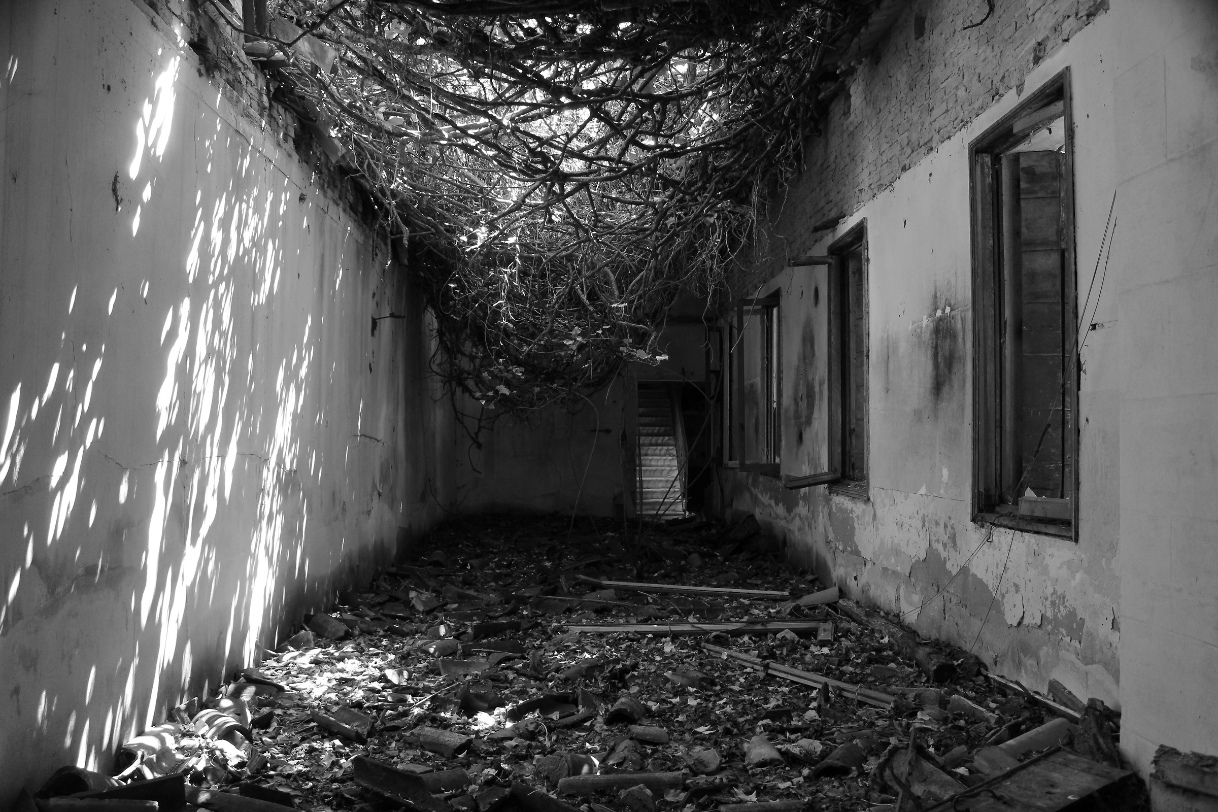 Natural island Poveglia roof