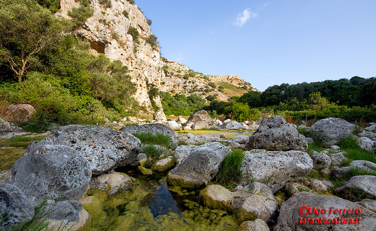 Castellaneta ravine