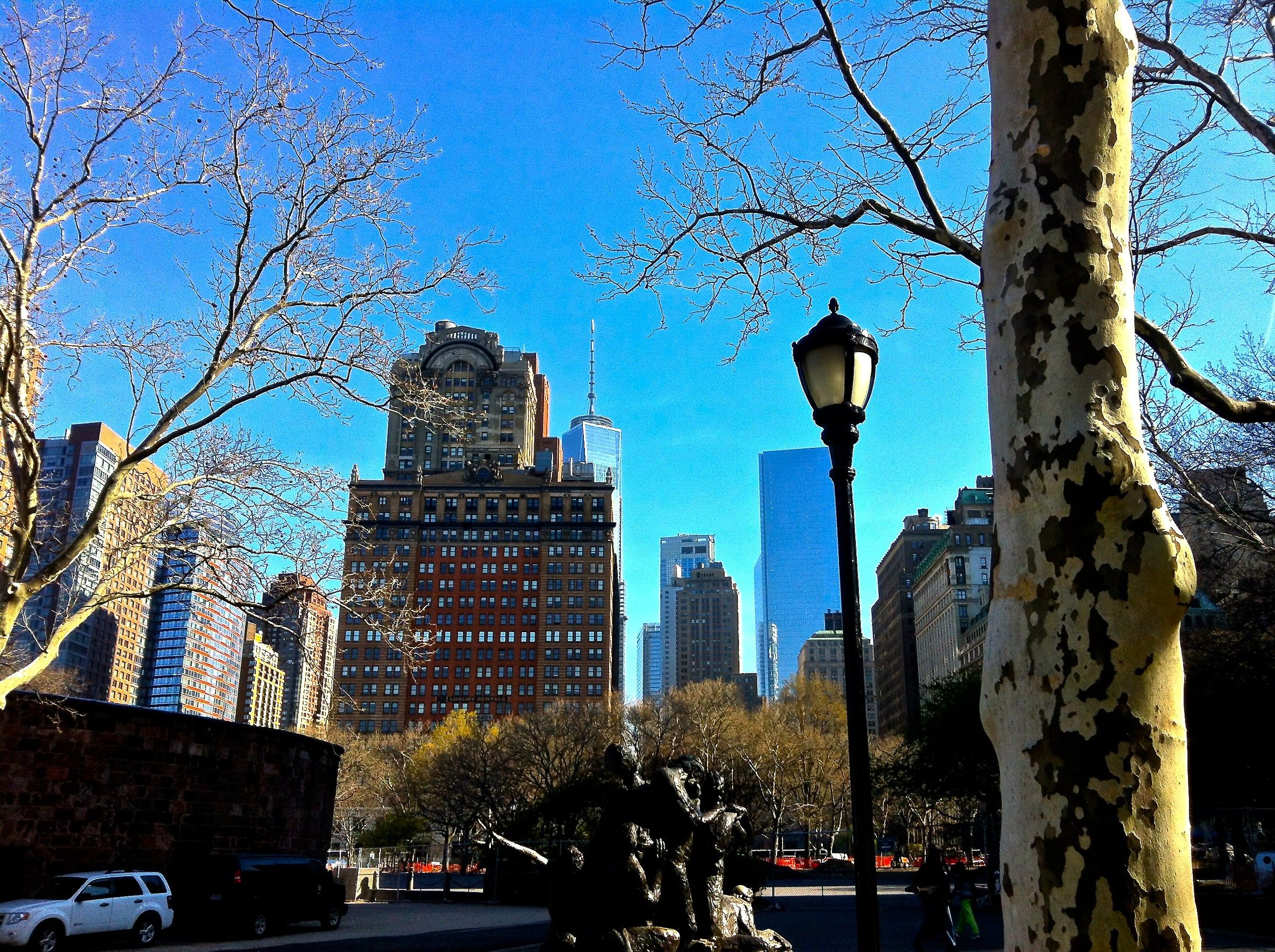 midsummer day's dream NY