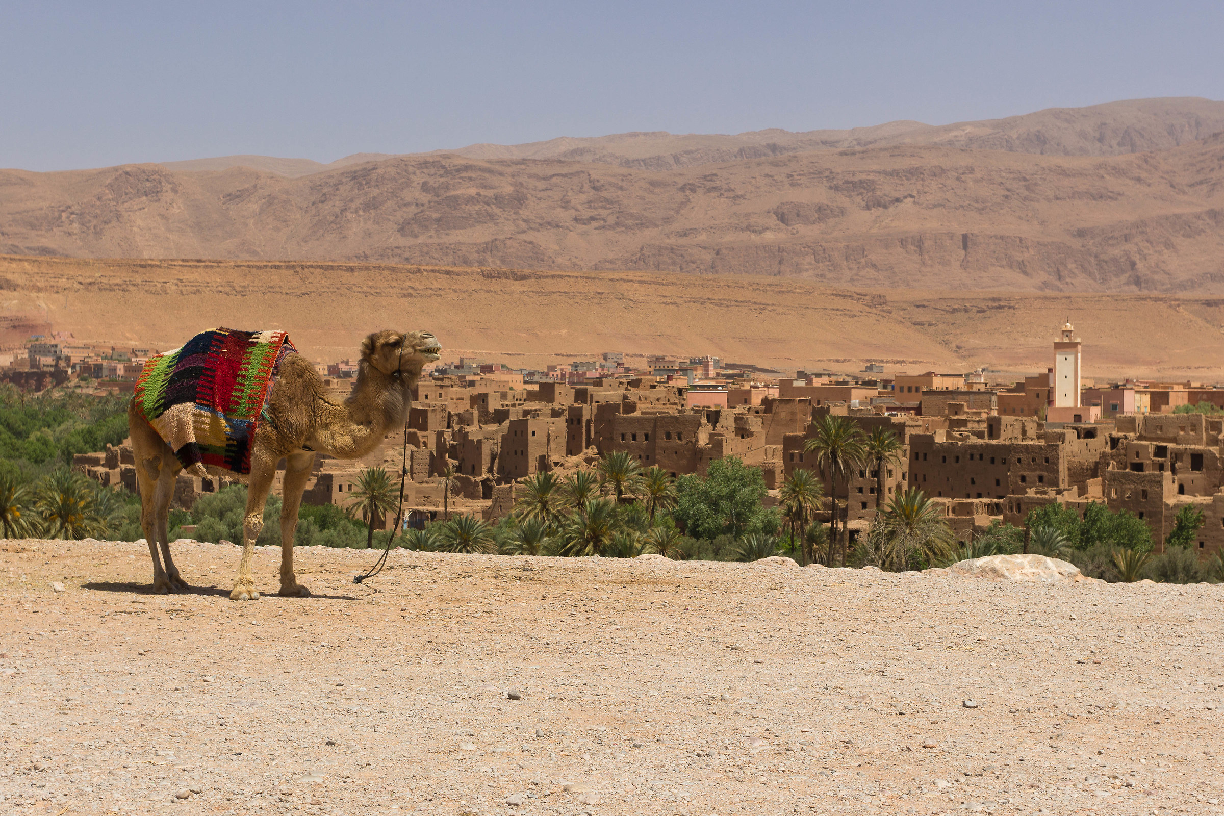 To the gorges of Todra
