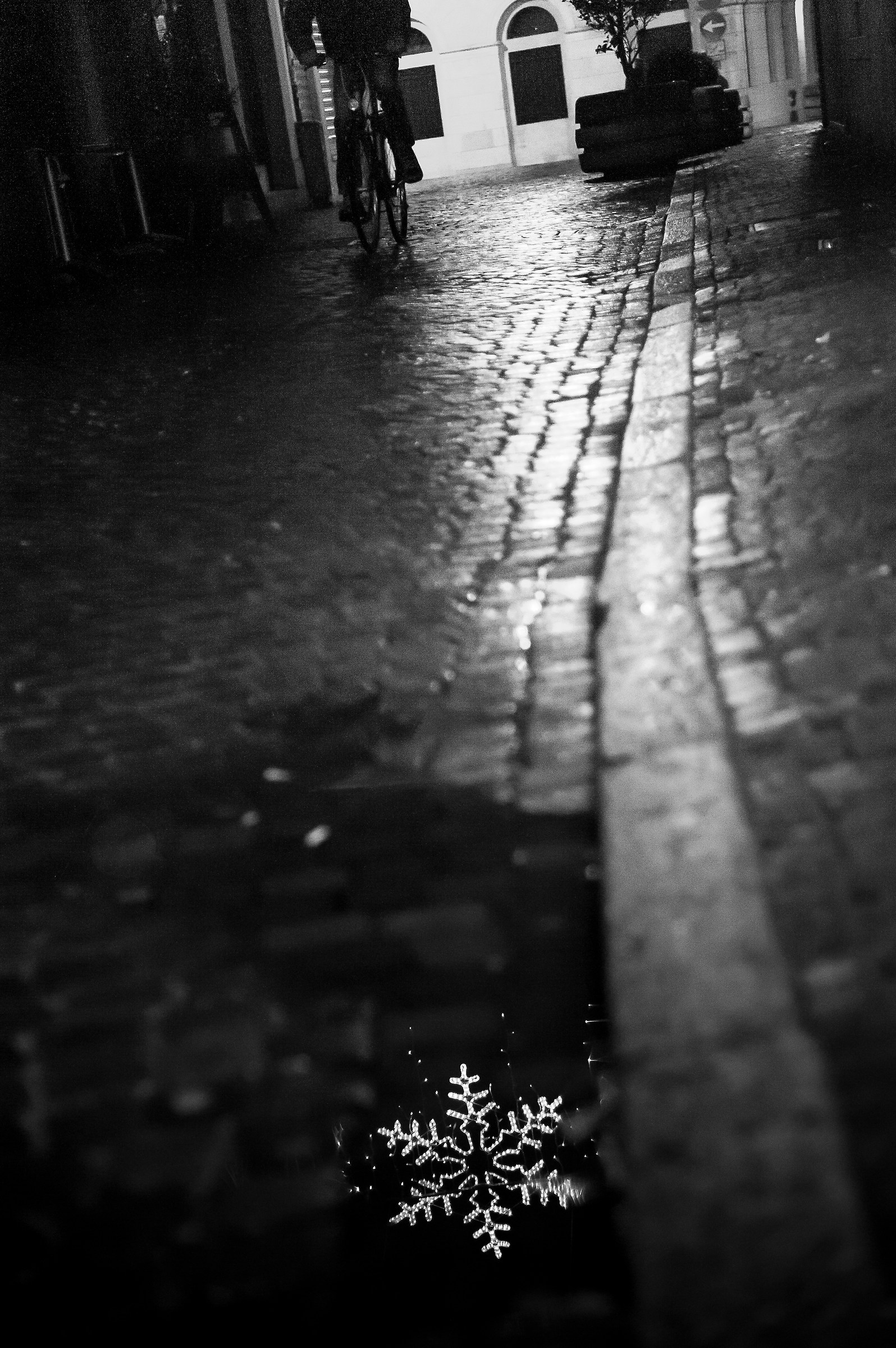 reflections in treviso