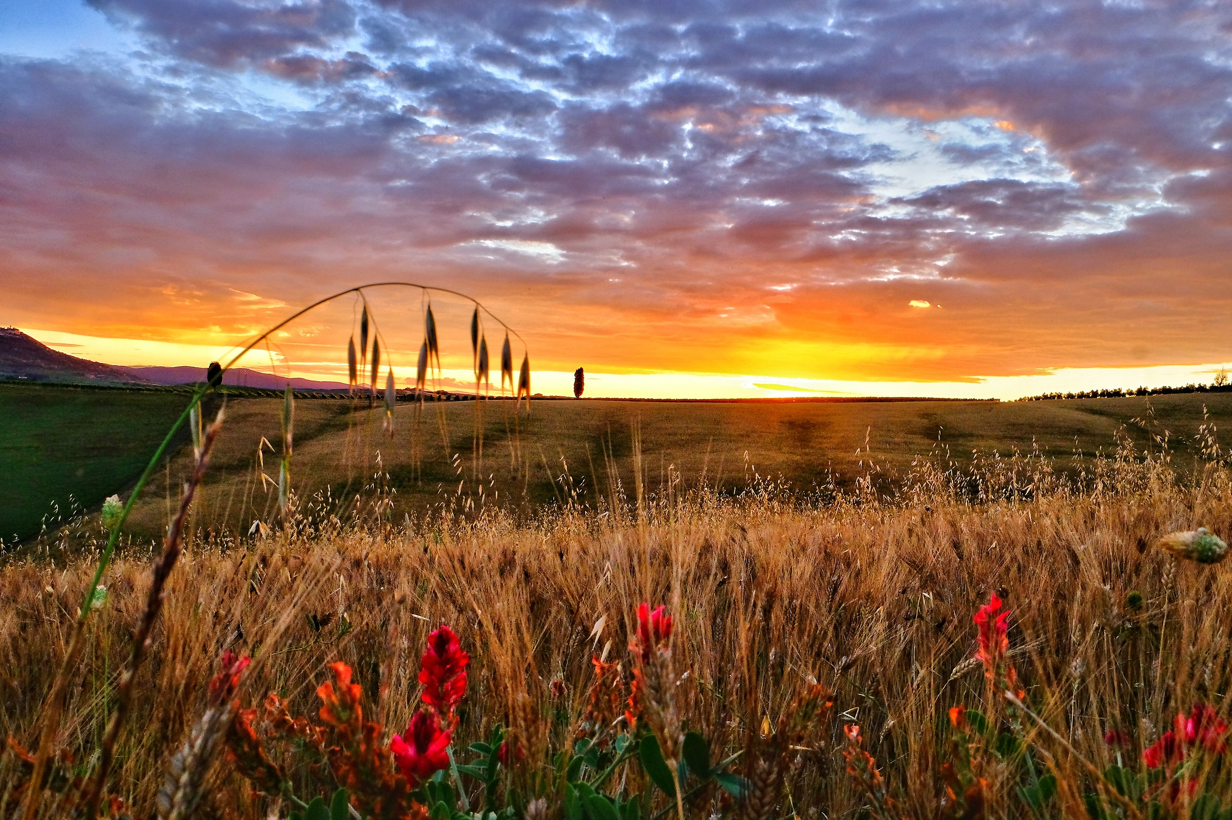 Colori della Val d'Orcia