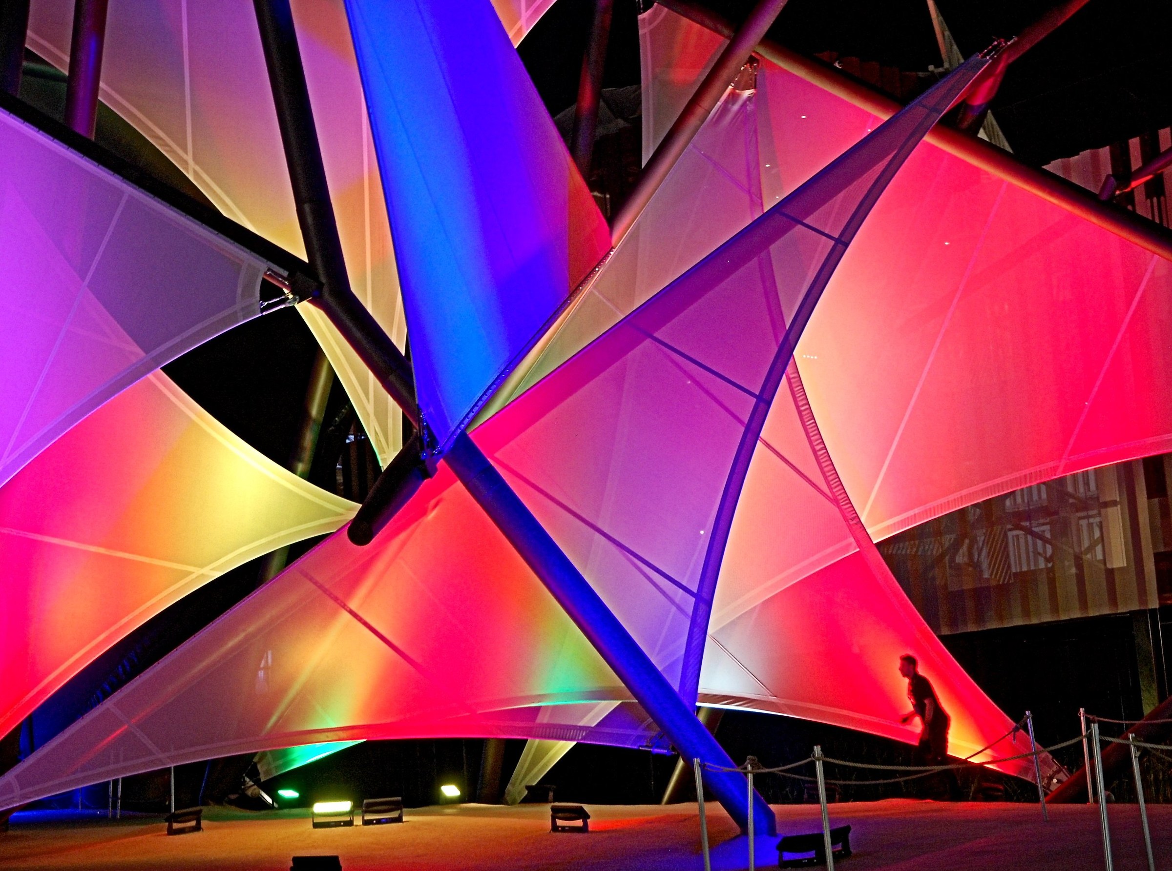 The man and the sails