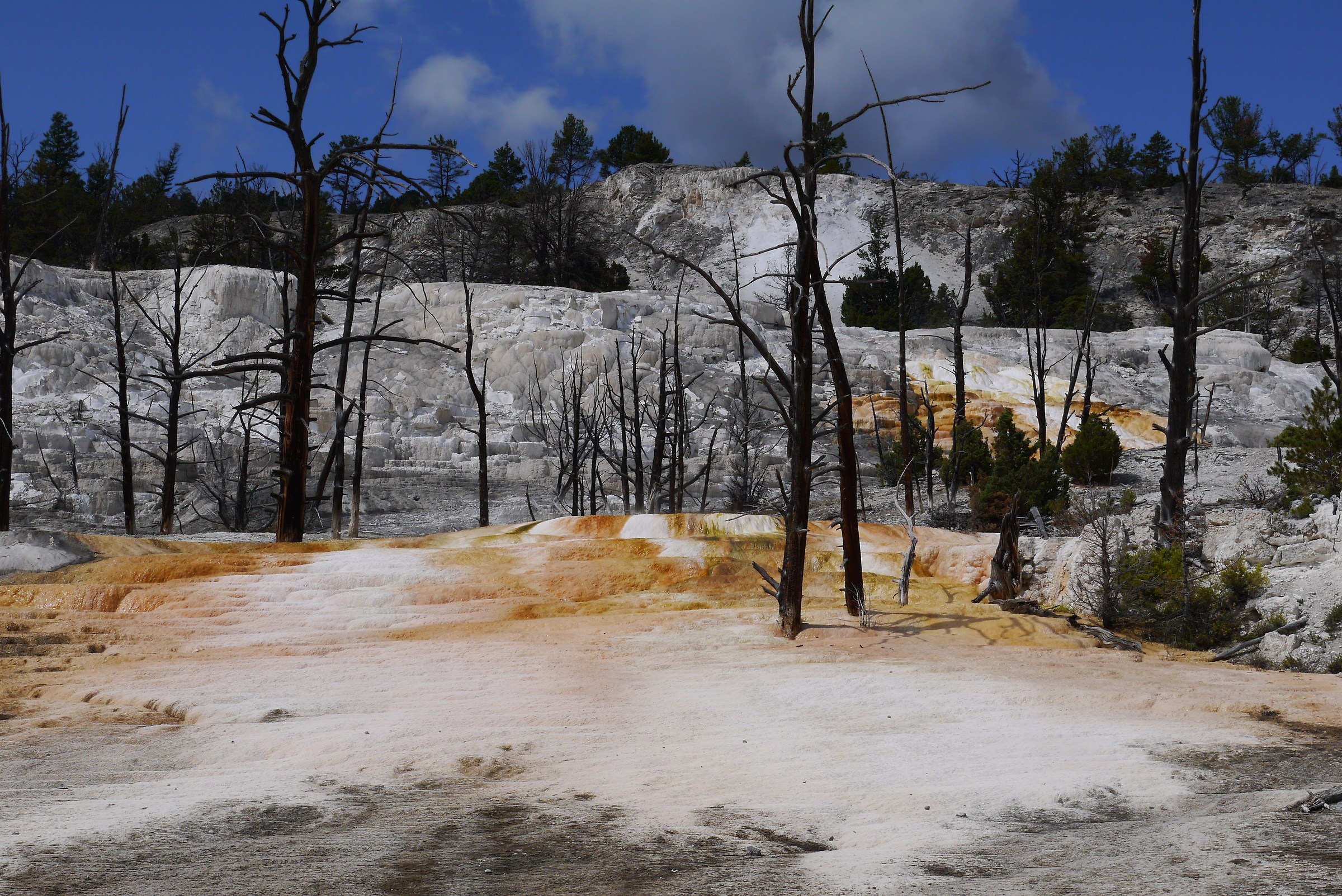 Yellowstone