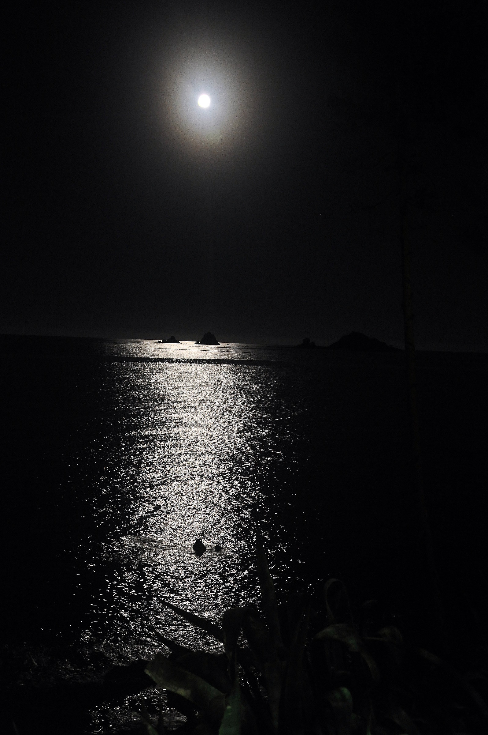 Santa Maria Navarrese