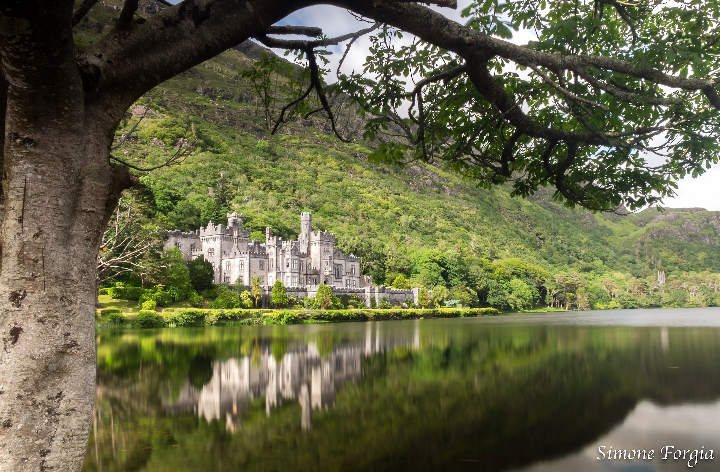 Reflections that shine