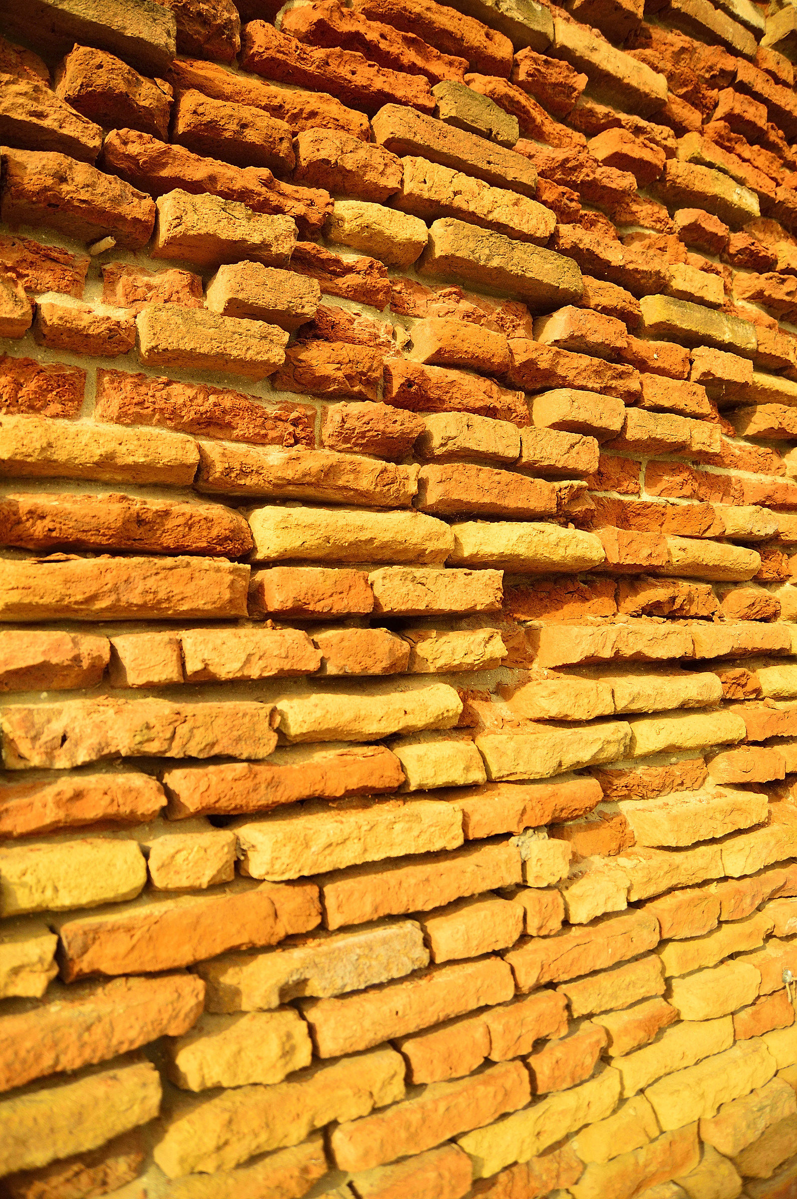 The famous parallel convergences